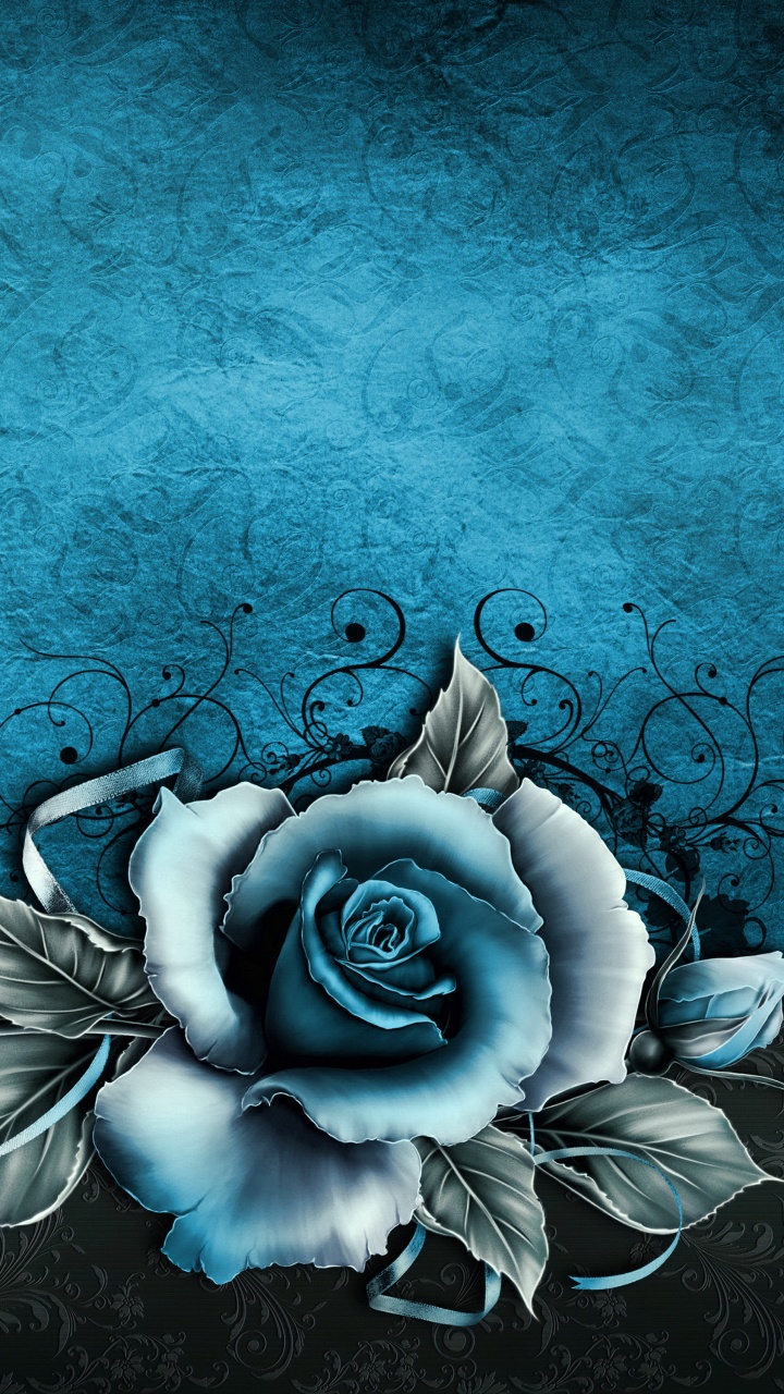 White Rose With Blue Background. Wallpaper in 720x1280 Resolution