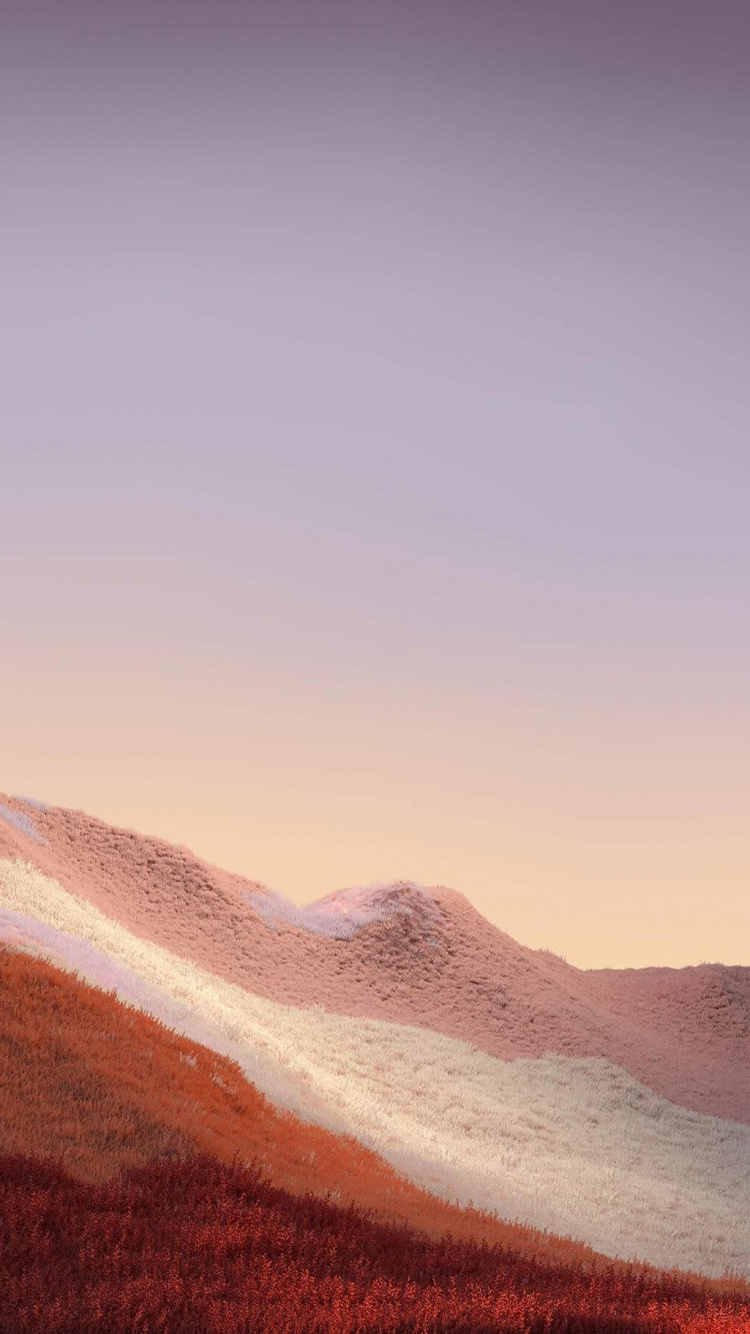 Microsoft Surface, Microsoft Surface Pro, Surface Pro 7, Superficie Pro x, Superficie Pro 3. Wallpaper in 750x1334 Resolution