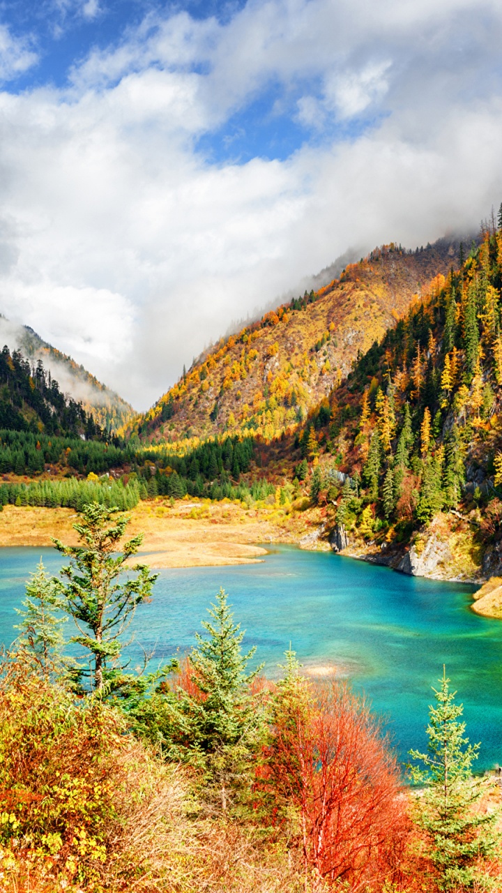Lac Vert Entouré D'arbres Verts et Bruns Sous un Ciel Bleu et Des Nuages Blancs Pendant la Journée. Wallpaper in 720x1280 Resolution