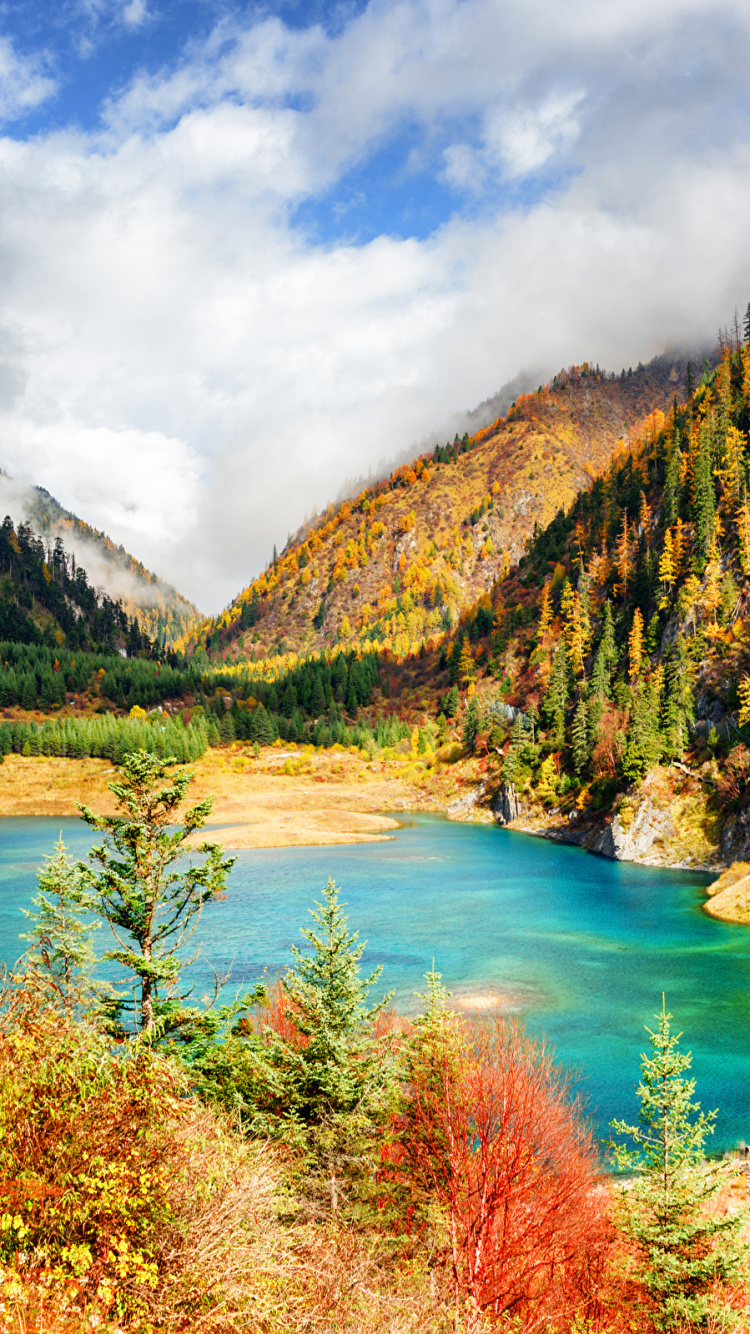 Green Lake Surrounded by Green and Brown Trees Under Blue Sky and White Clouds During Daytime. Wallpaper in 750x1334 Resolution