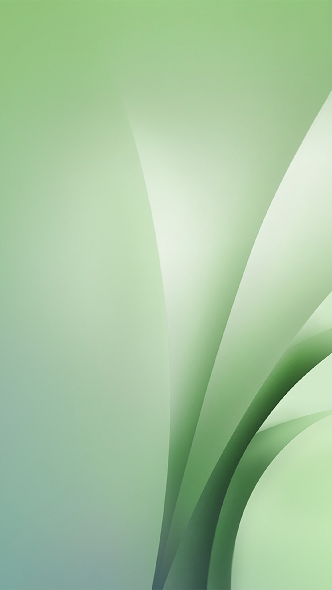 Apples, Green, Colorfulness. Wallpaper in 1080x1920 Resolution