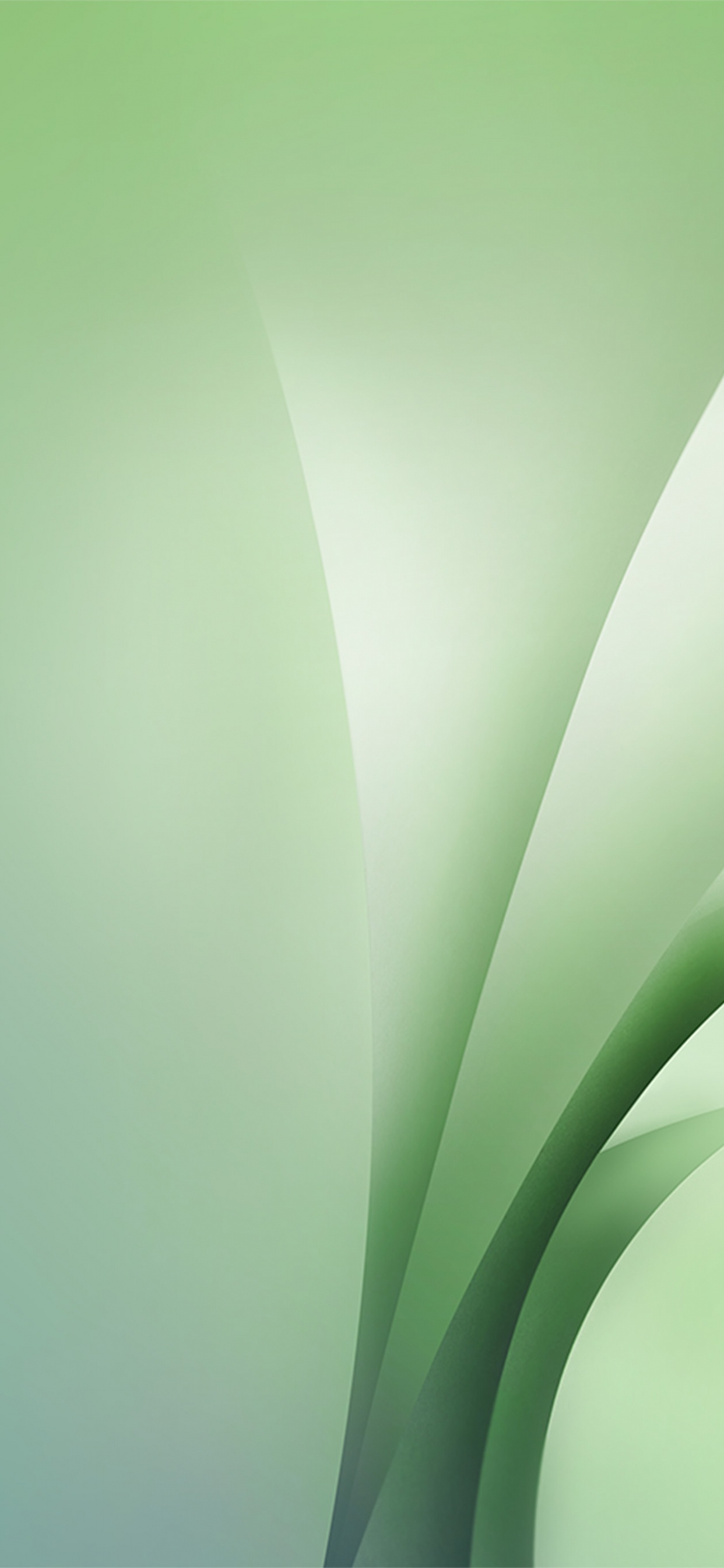 Apples, Green, Colorfulness. Wallpaper in 1242x2688 Resolution
