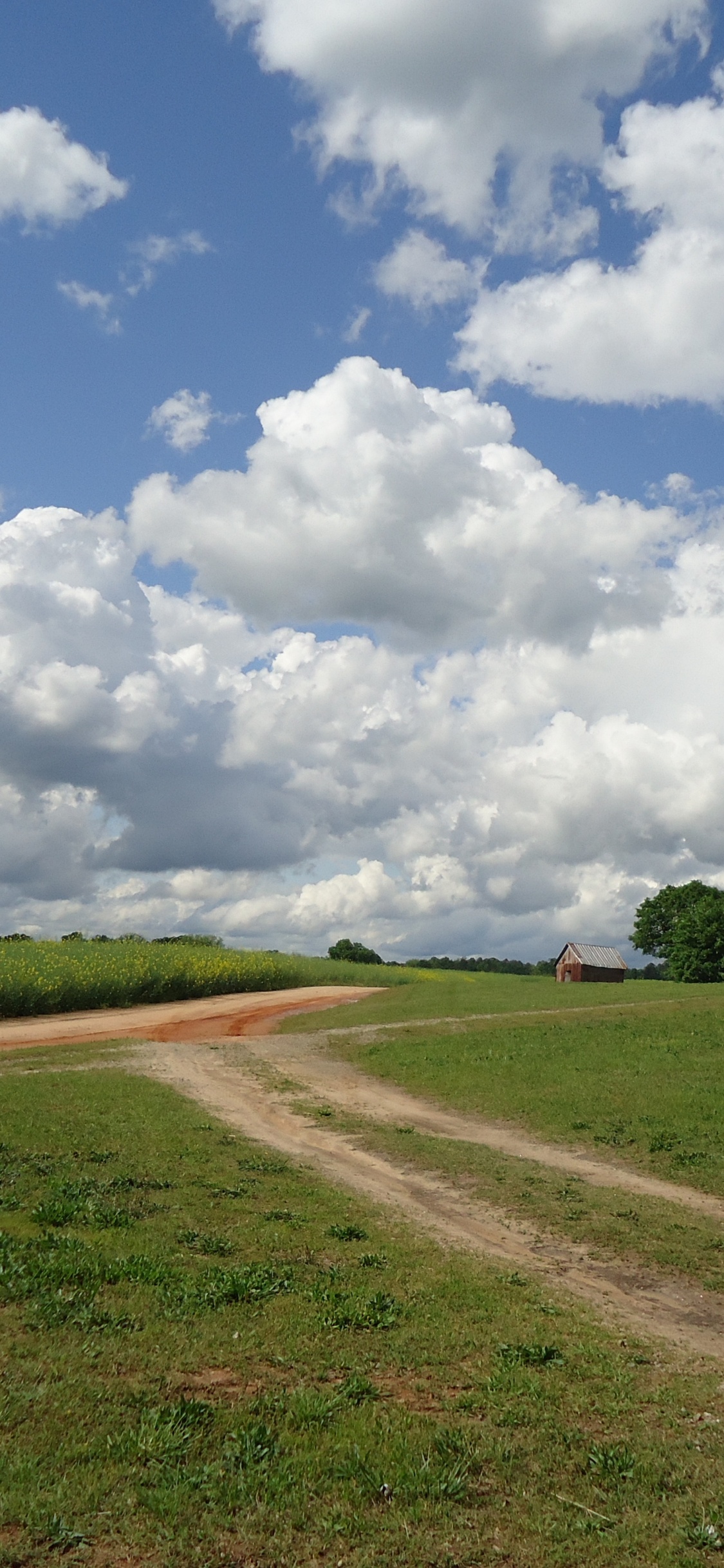 Campo de Hierba Verde Bajo Las Nubes Blancas y el Cielo Azul Durante el Día. Wallpaper in 1125x2436 Resolution