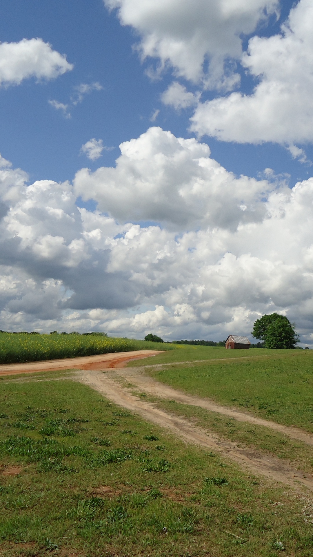 Green Grass Field Under White Clouds and Blue Sky During Daytime. Wallpaper in 1080x1920 Resolution