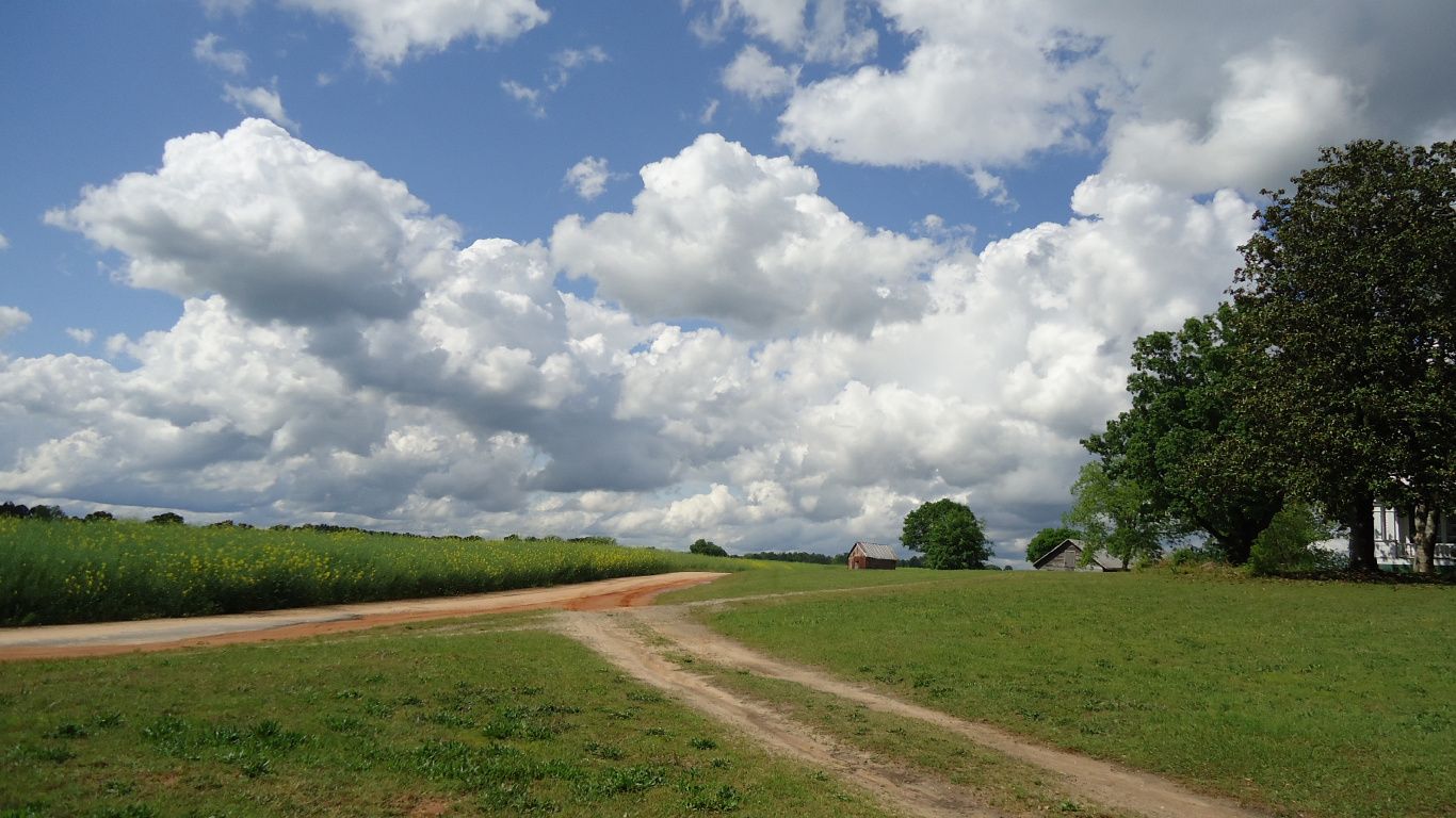 Grüne Wiese Unter Weißen Wolken Und Blauem Himmel Tagsüber. Wallpaper in 1366x768 Resolution