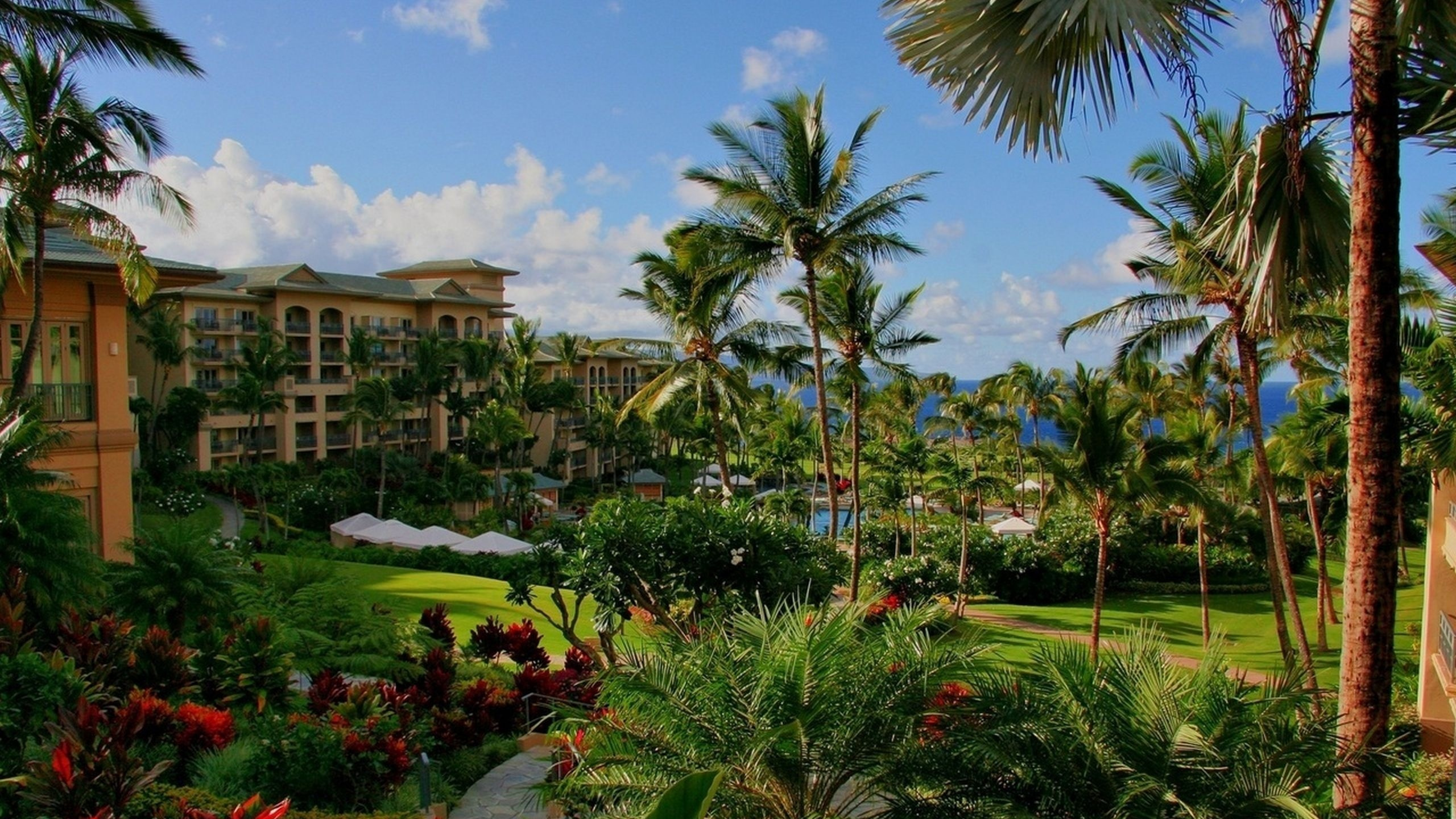 Green Palm Trees Near Brown Concrete Building During Daytime. Wallpaper in 2560x1440 Resolution