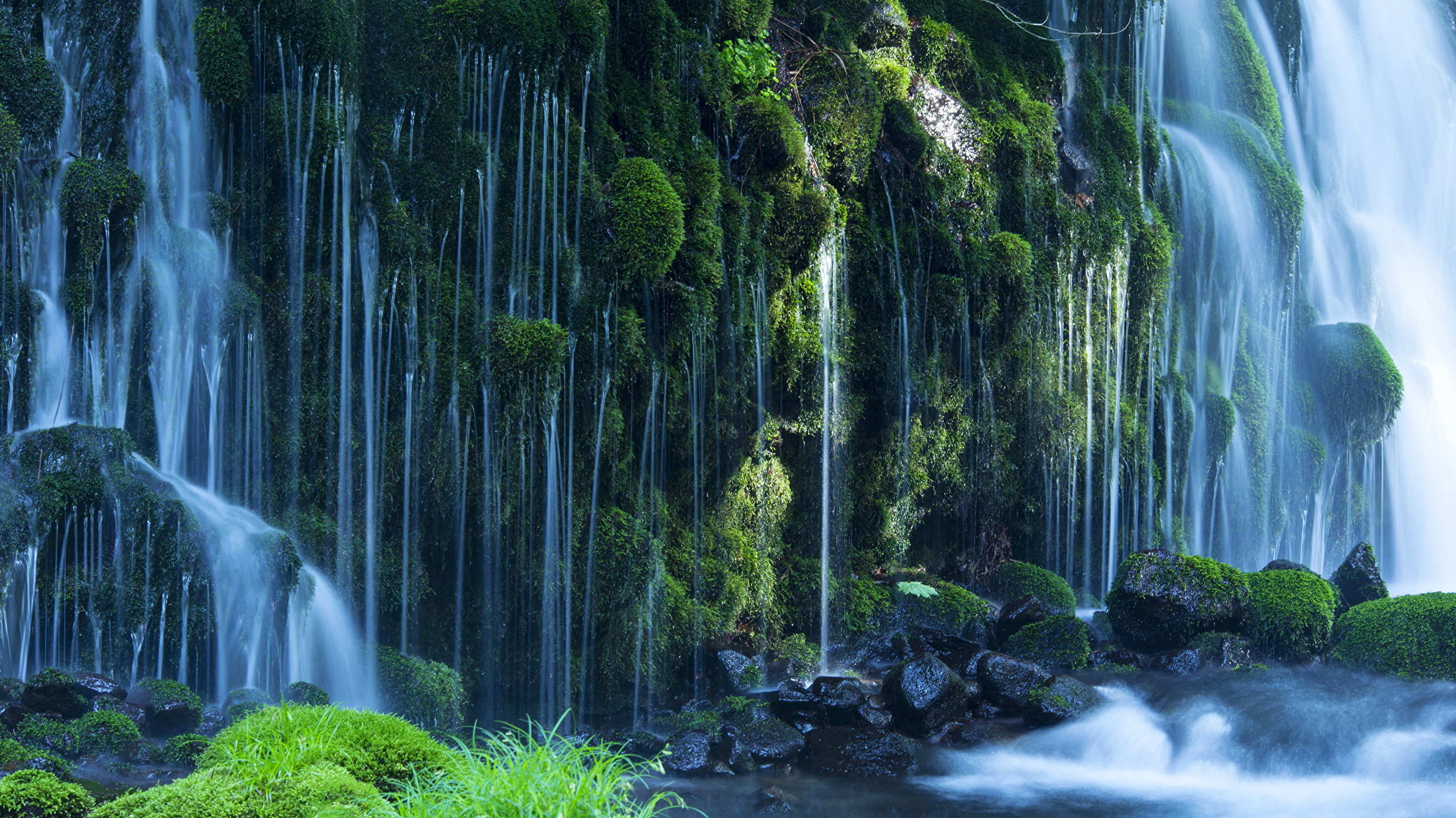 Musgo Verde Sobre Roca Cerca de Cascadas de Agua. Wallpaper in 2560x1440 Resolution