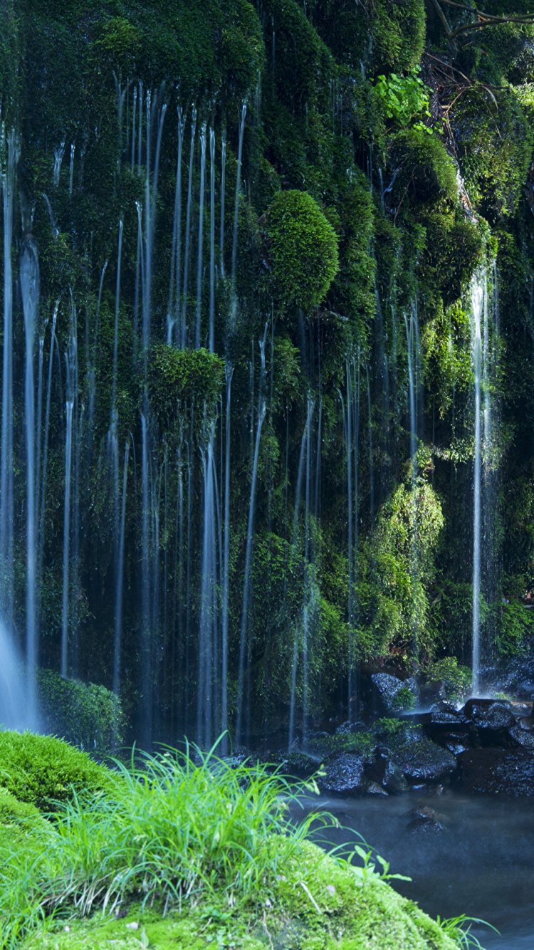 Musgo Verde Sobre Roca Cerca de Cascadas de Agua. Wallpaper in 750x1334 Resolution
