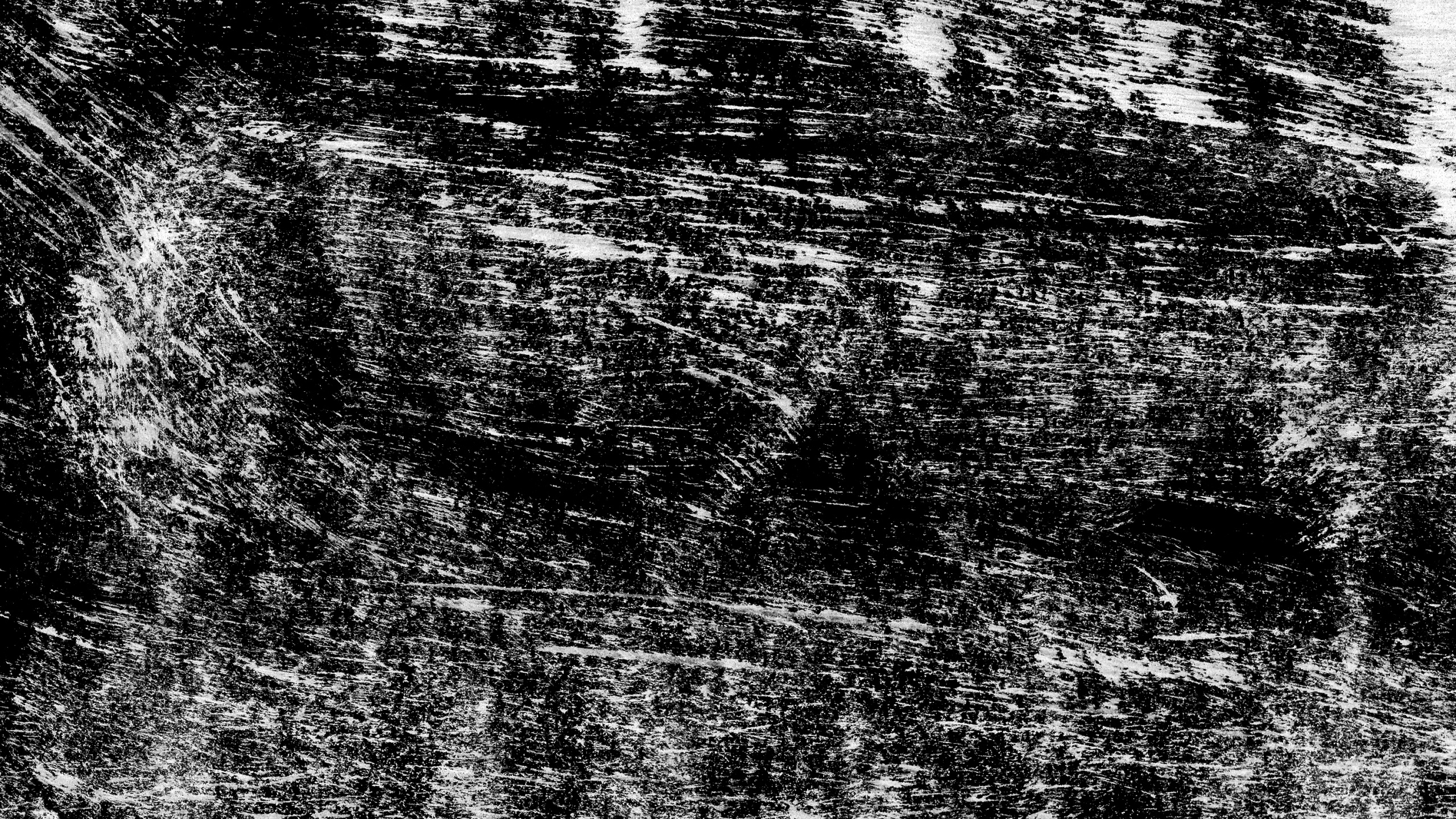 Abstrakte Schwarz-Weiß-Malerei. Wallpaper in 2560x1440 Resolution