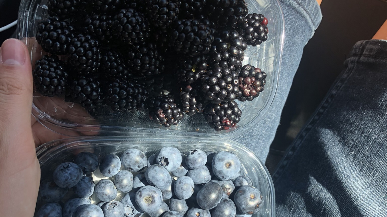 Zutat, Jeans, Zutaten, Nagel, Berry. Wallpaper in 1280x720 Resolution