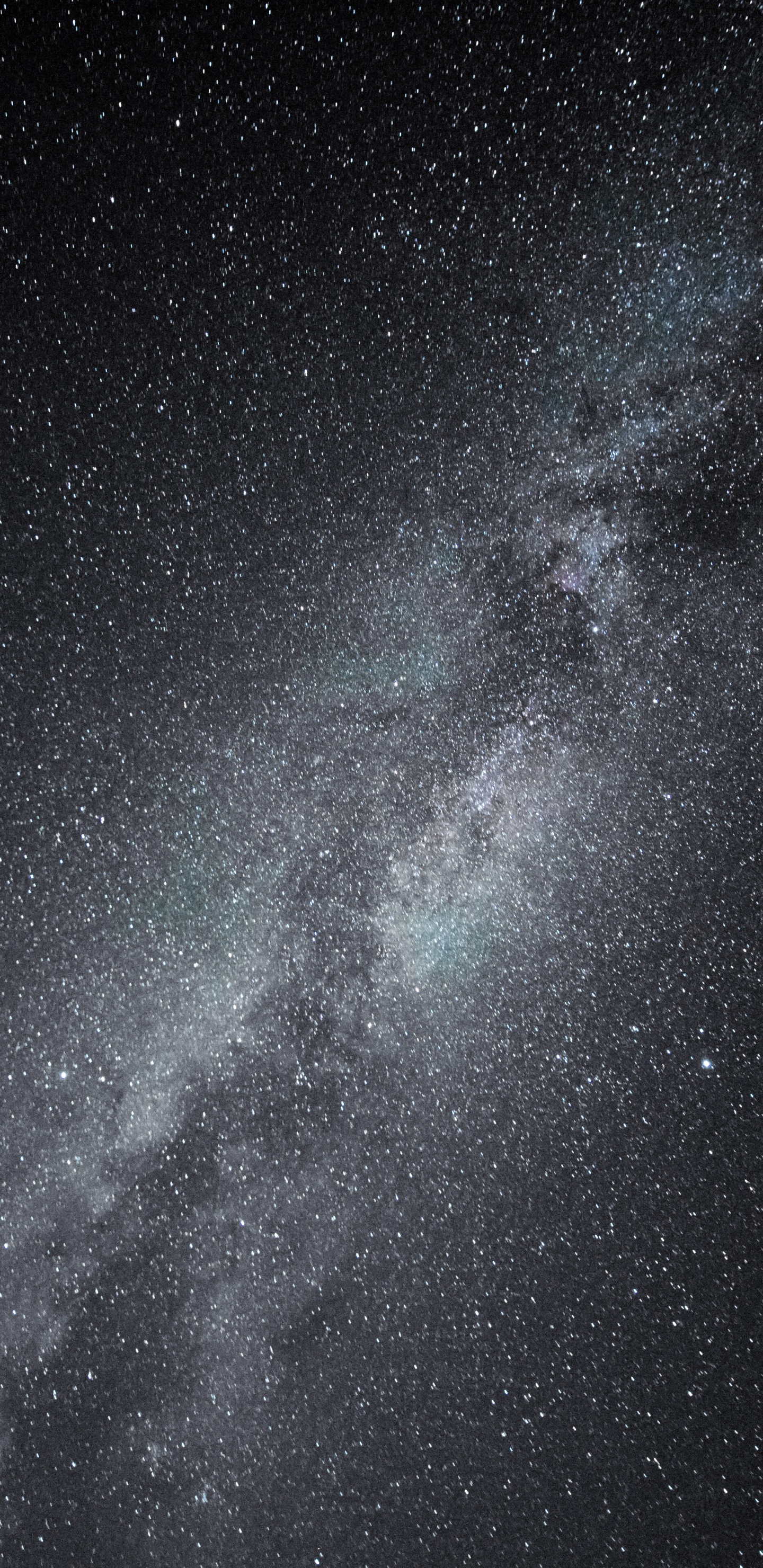 Cielo Estrellado Sobre la Noche Estrellada. Wallpaper in 1440x2960 Resolution