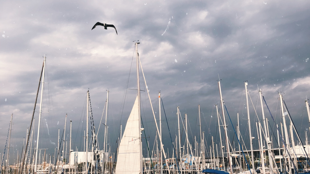 Sail, Cloud, Watercraft, Liquid, Boat. Wallpaper in 1280x720 Resolution
