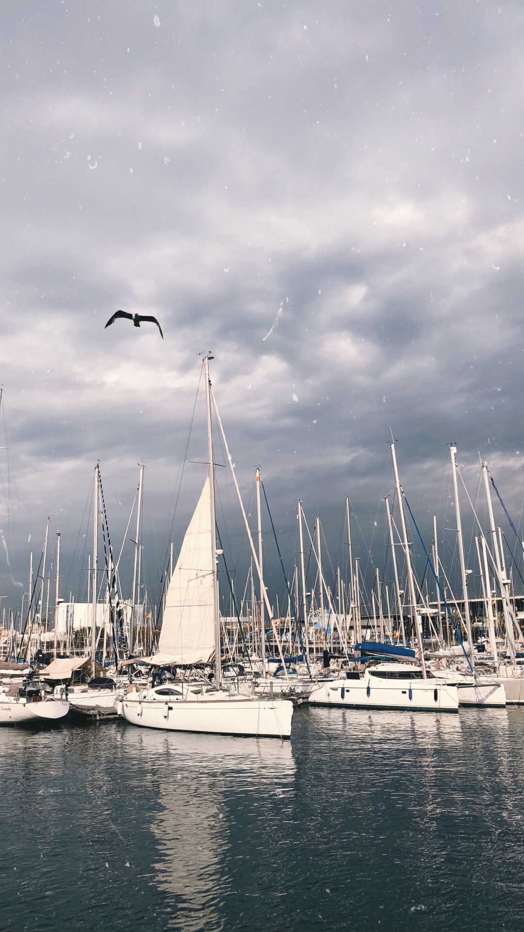 Segel, Cloud, Wasserfahrzeug, Boot, Mast. Wallpaper in 1080x1920 Resolution