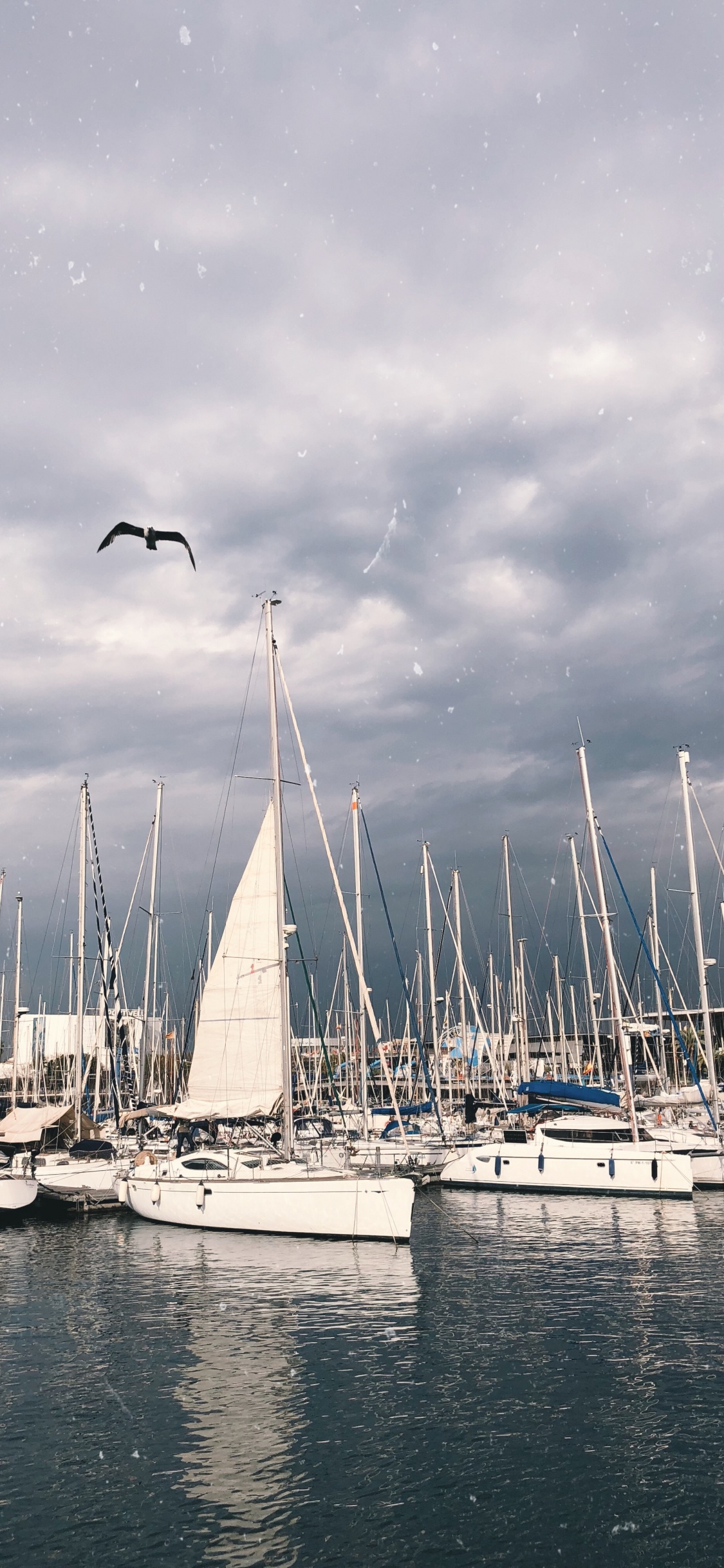 Segel, Cloud, Wasserfahrzeug, Boot, Mast. Wallpaper in 1125x2436 Resolution