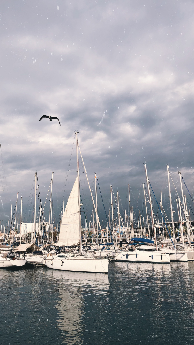 Segel, Cloud, Wasserfahrzeug, Boot, Mast. Wallpaper in 750x1334 Resolution