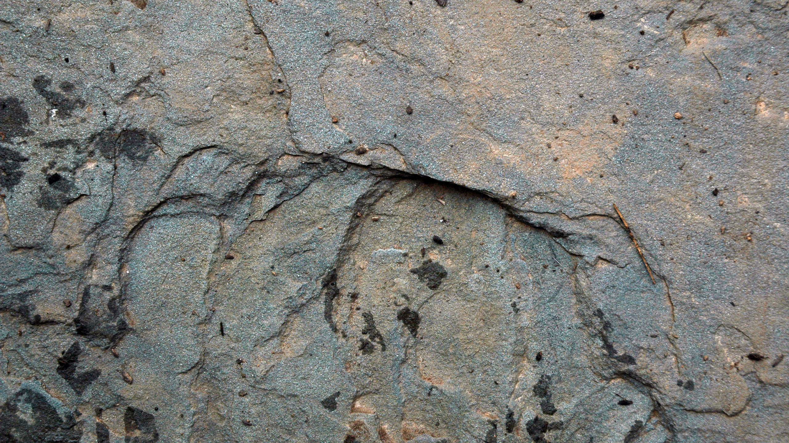 Brown and Black Stone Fragment. Wallpaper in 2560x1440 Resolution