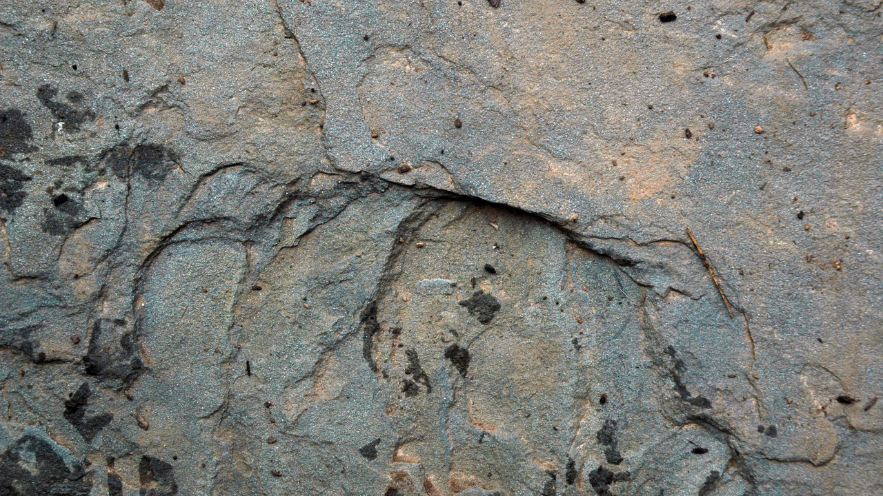 Fragmento de Piedra Marrón y Negra. Wallpaper in 1280x720 Resolution