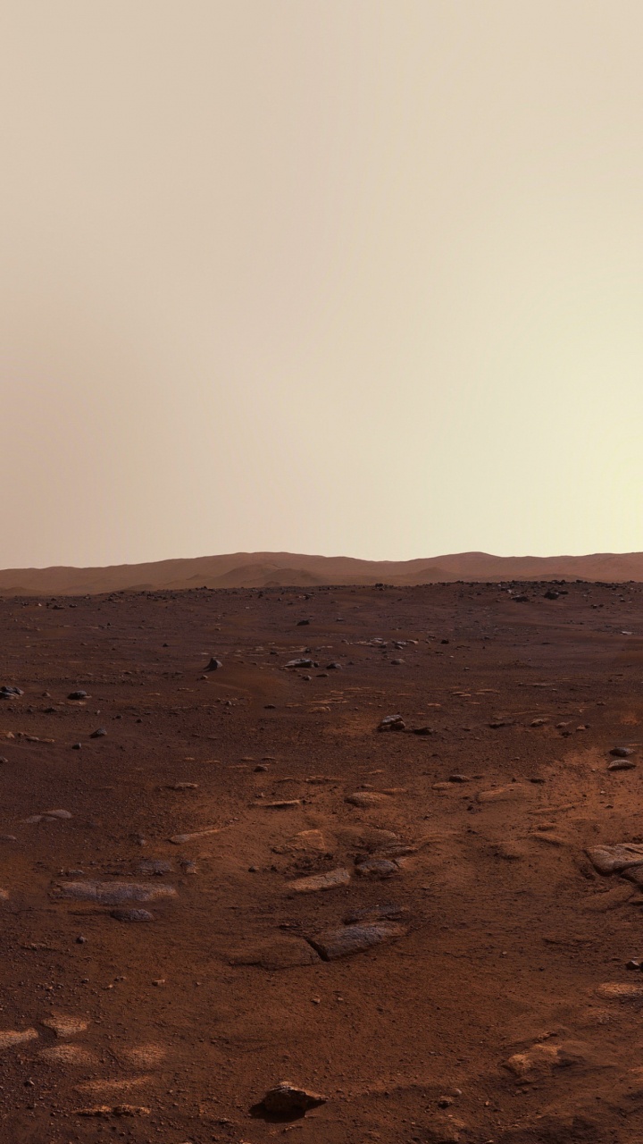 Mars, Perseverence, Brown, Beige, Tints and Shades. Wallpaper in 720x1280 Resolution