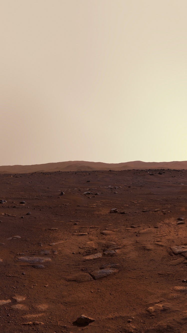 Mars, Perseverence, Brown, Beige, Tints and Shades. Wallpaper in 750x1334 Resolution