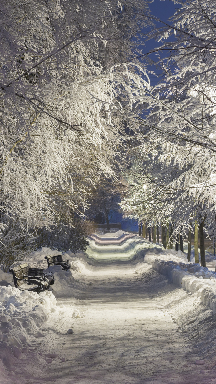 Schneebedeckte Straße Zwischen Bäumen Tagsüber. Wallpaper in 750x1334 Resolution