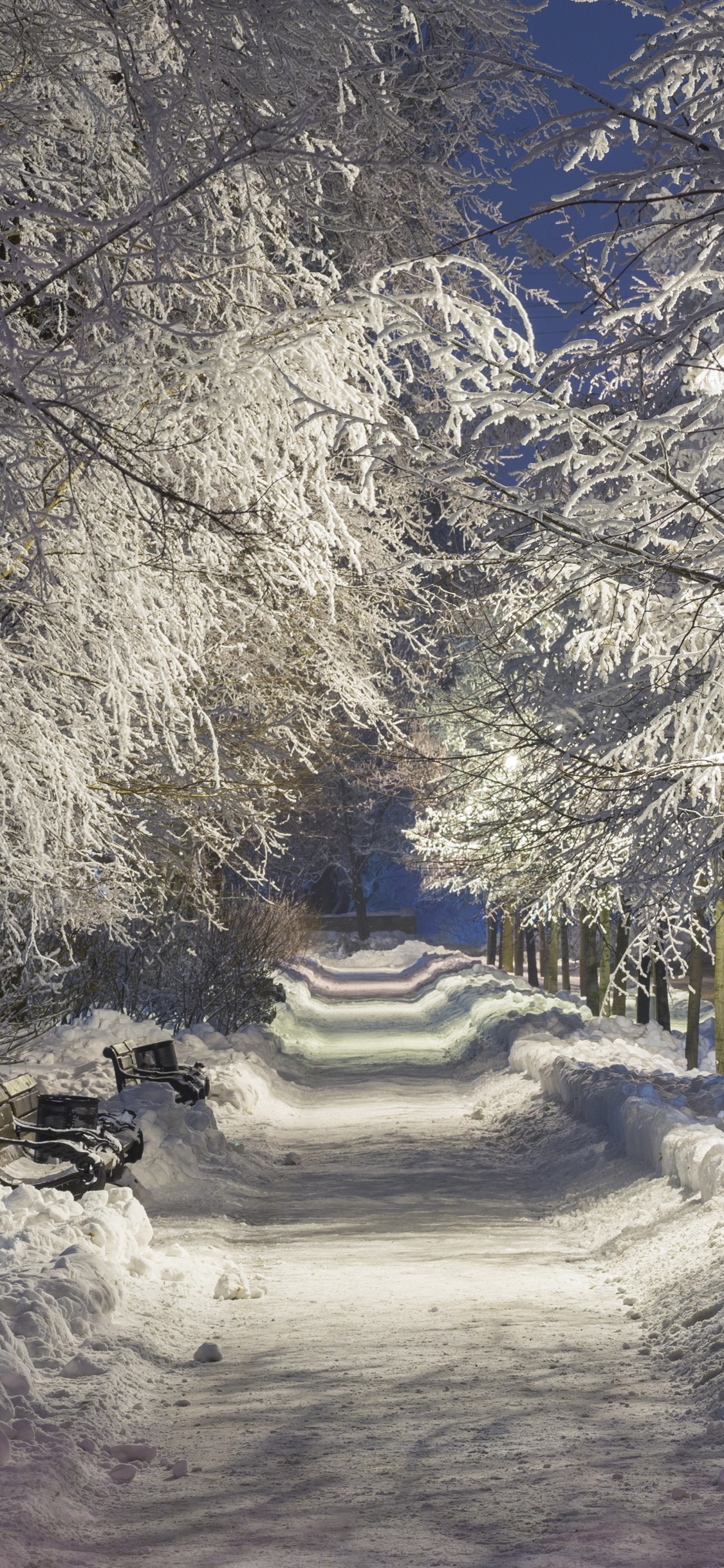 Camino Cubierto de Nieve Entre Árboles Durante el Día. Wallpaper in 1125x2436 Resolution