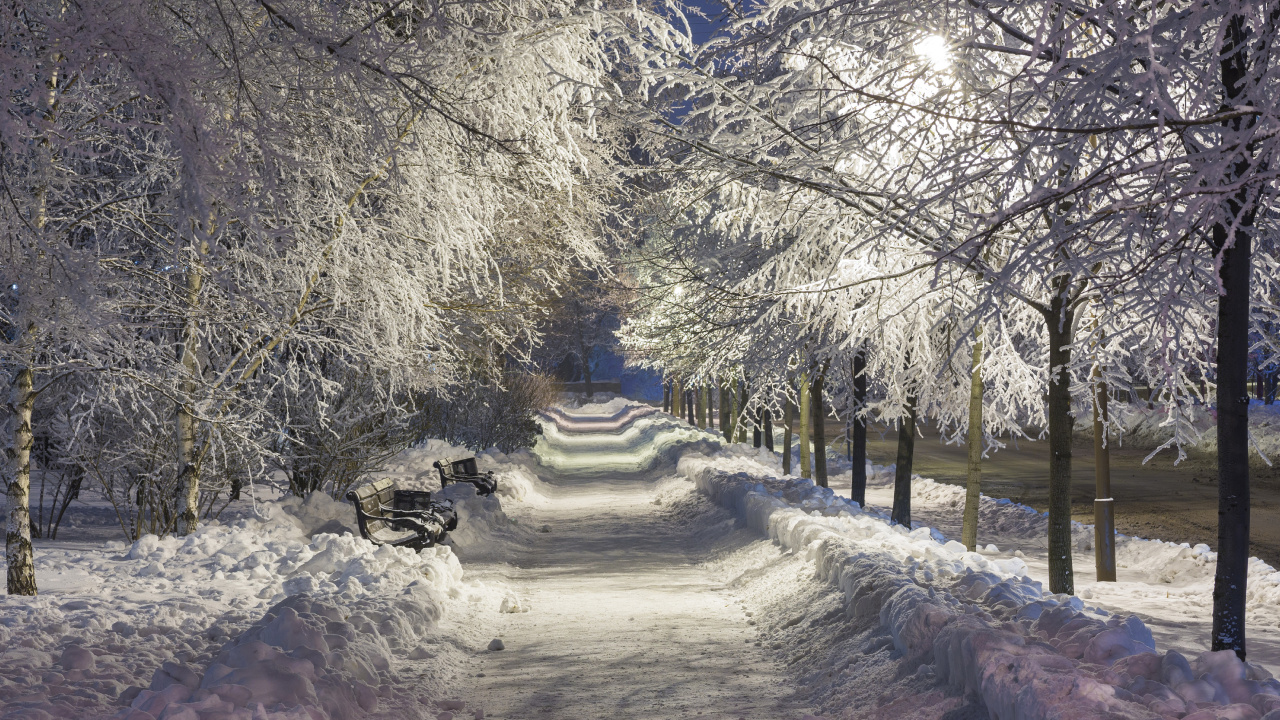 Snow Covered Road Between Trees During Daytime. Wallpaper in 1280x720 Resolution