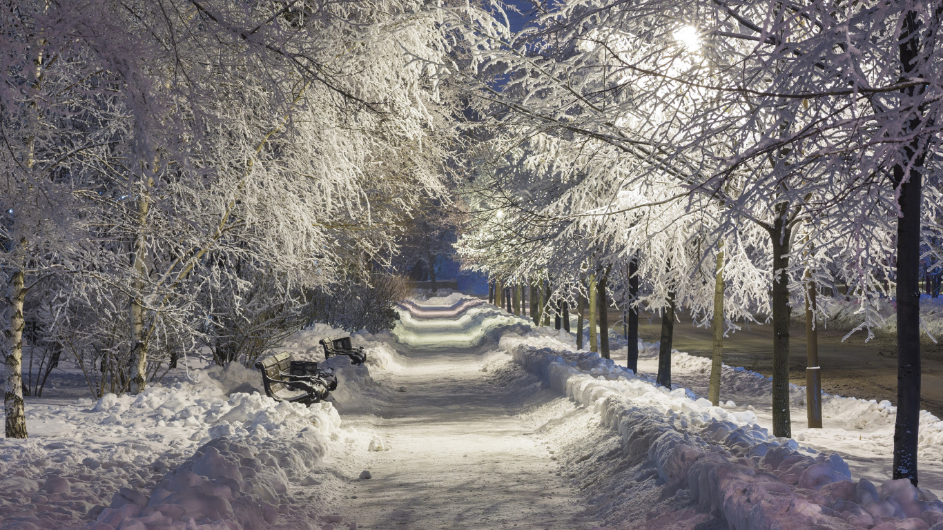 Snow Covered Road Between Trees During Daytime. Wallpaper in 1366x768 Resolution