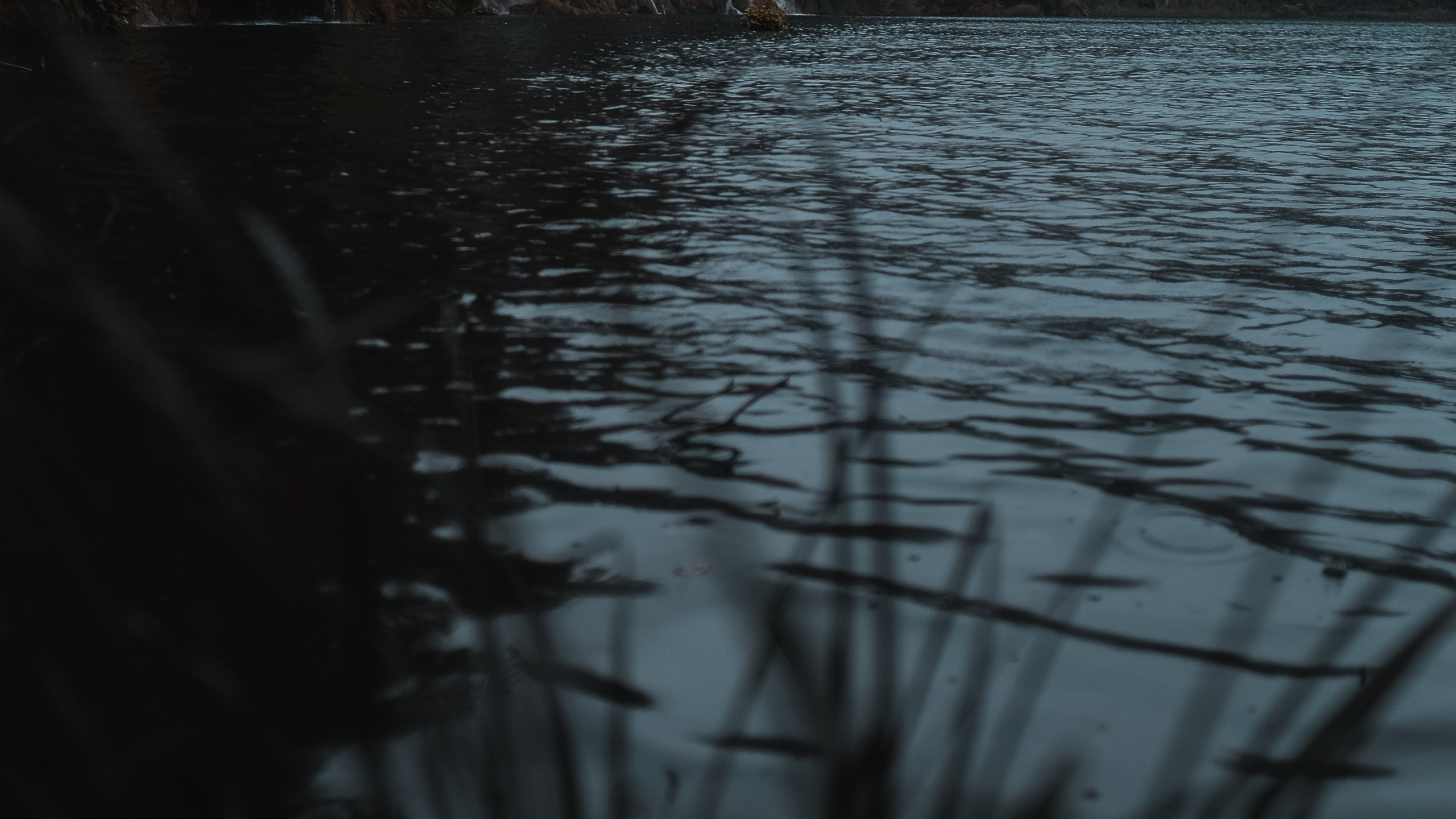 性质, 阳光, 水资源, 气氛, 自然景观 壁纸 2560x1440 允许