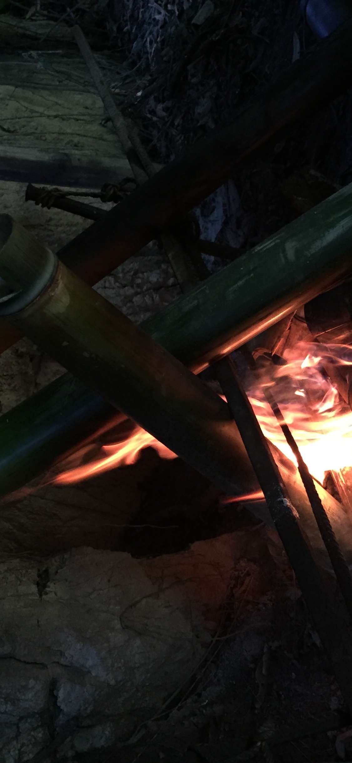 Campfire, Fire, Flame, Heat, Gas. Wallpaper in 1125x2436 Resolution