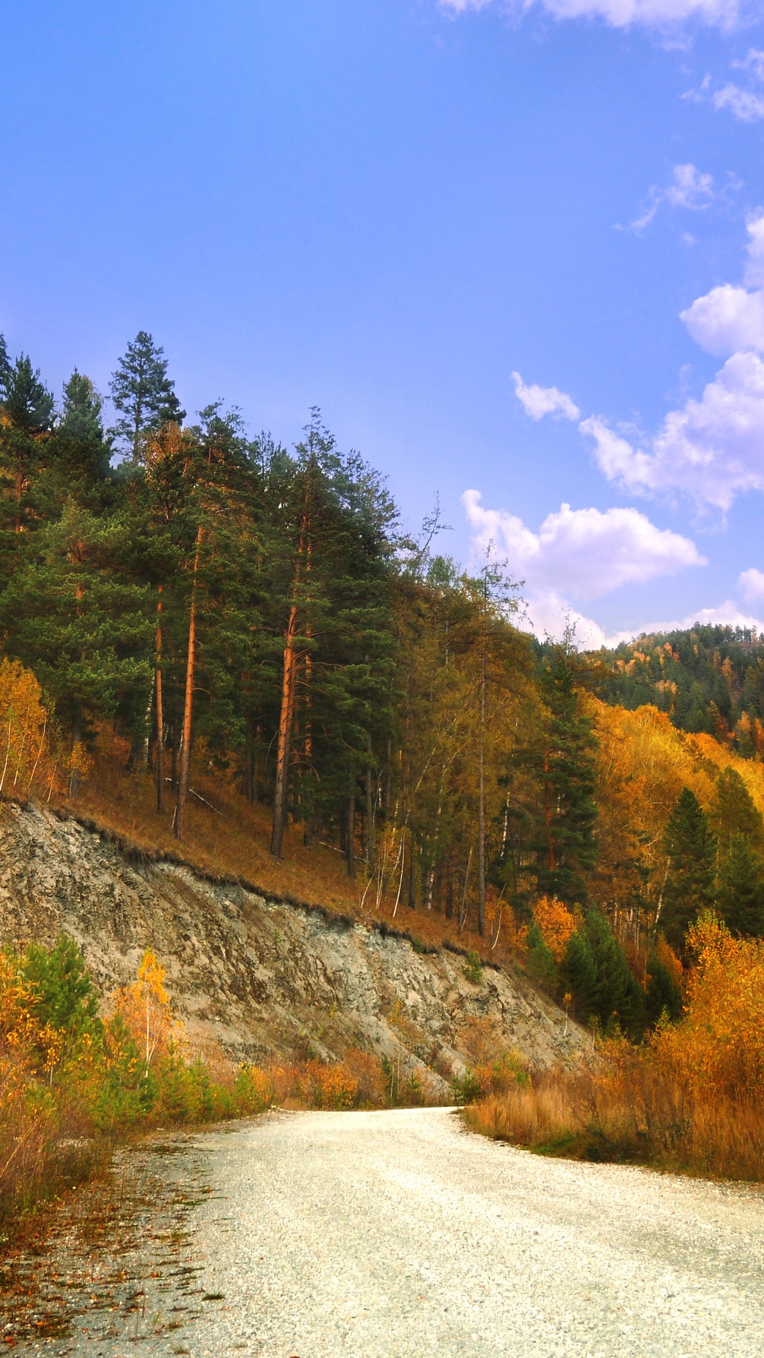Green and Brown Trees Near Mountain Under Blue Sky During Daytime. Wallpaper in 1080x1920 Resolution