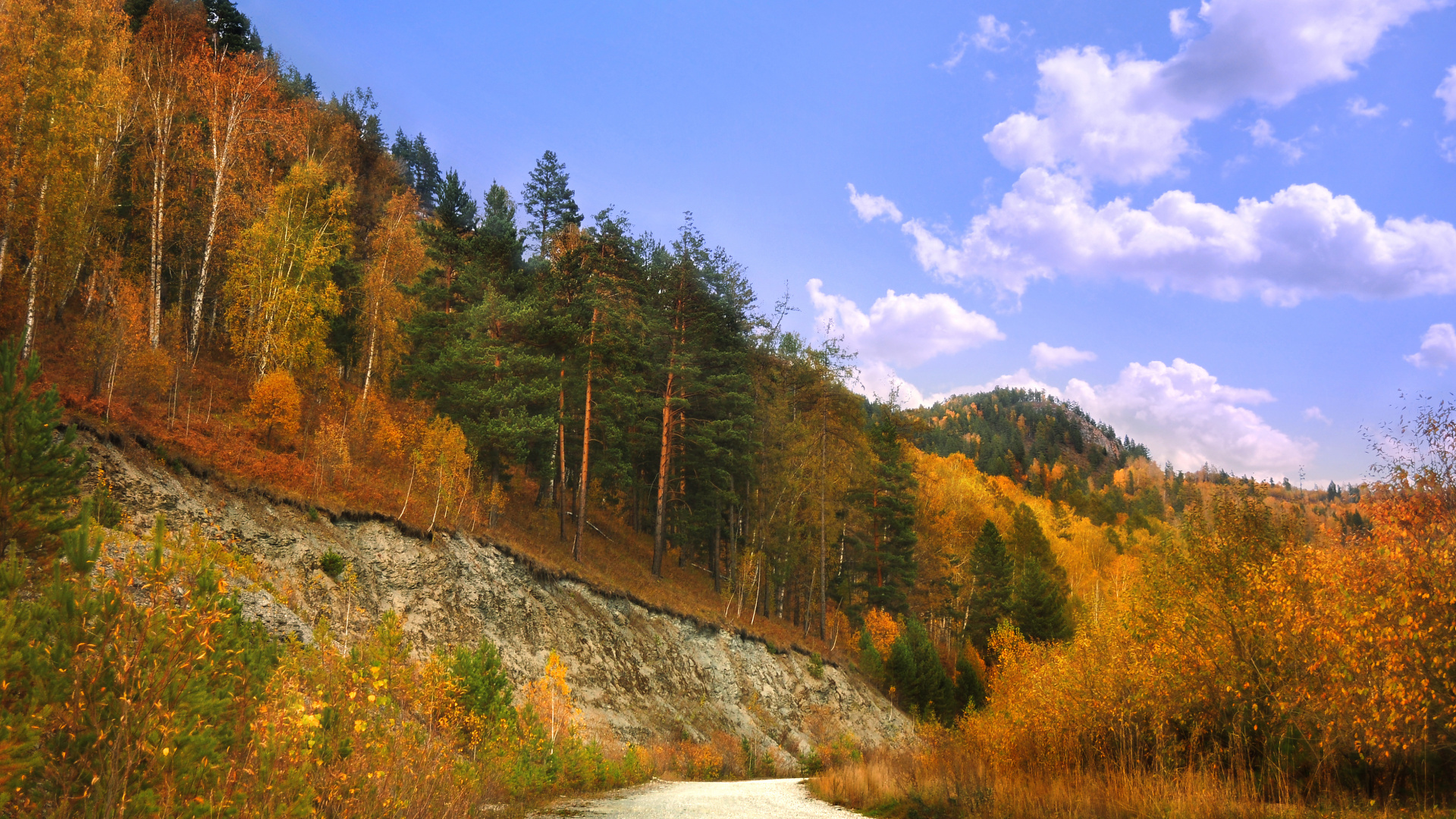 Grüne Und Braune Bäume in Der Nähe Des Berges Unter Blauem Himmel Tagsüber Sky. Wallpaper in 1920x1080 Resolution