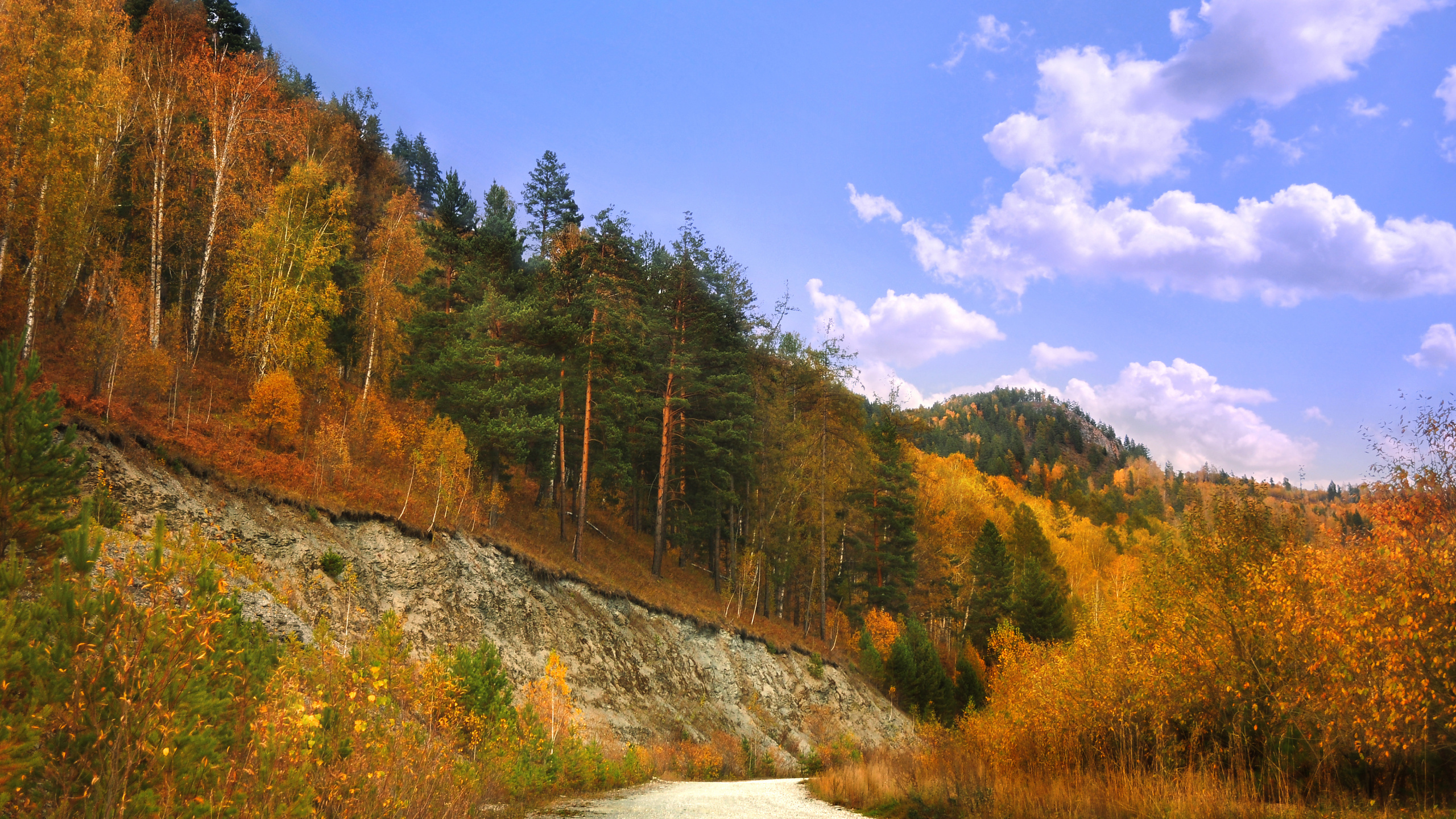 Grüne Und Braune Bäume in Der Nähe Des Berges Unter Blauem Himmel Tagsüber Sky. Wallpaper in 2560x1440 Resolution