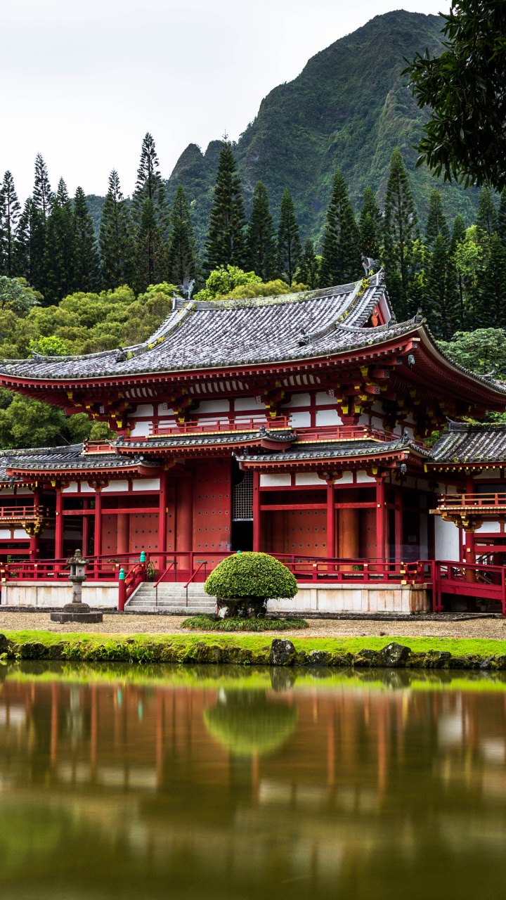 Tokyo, Ägypten, Australien, Hawaii, Reise. Wallpaper in 720x1280 Resolution