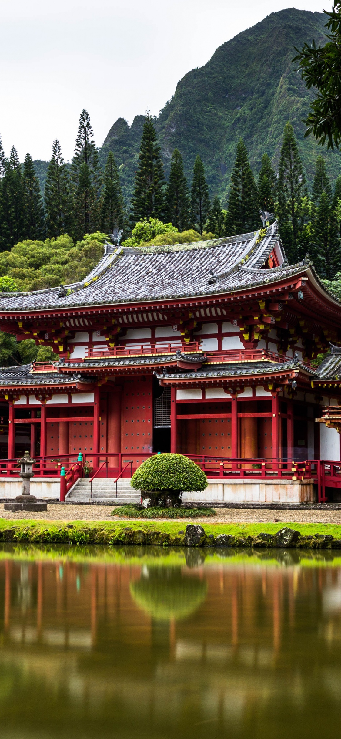 Tokyo, Egypt, Australia, Hawaii, Travel. Wallpaper in 1125x2436 Resolution