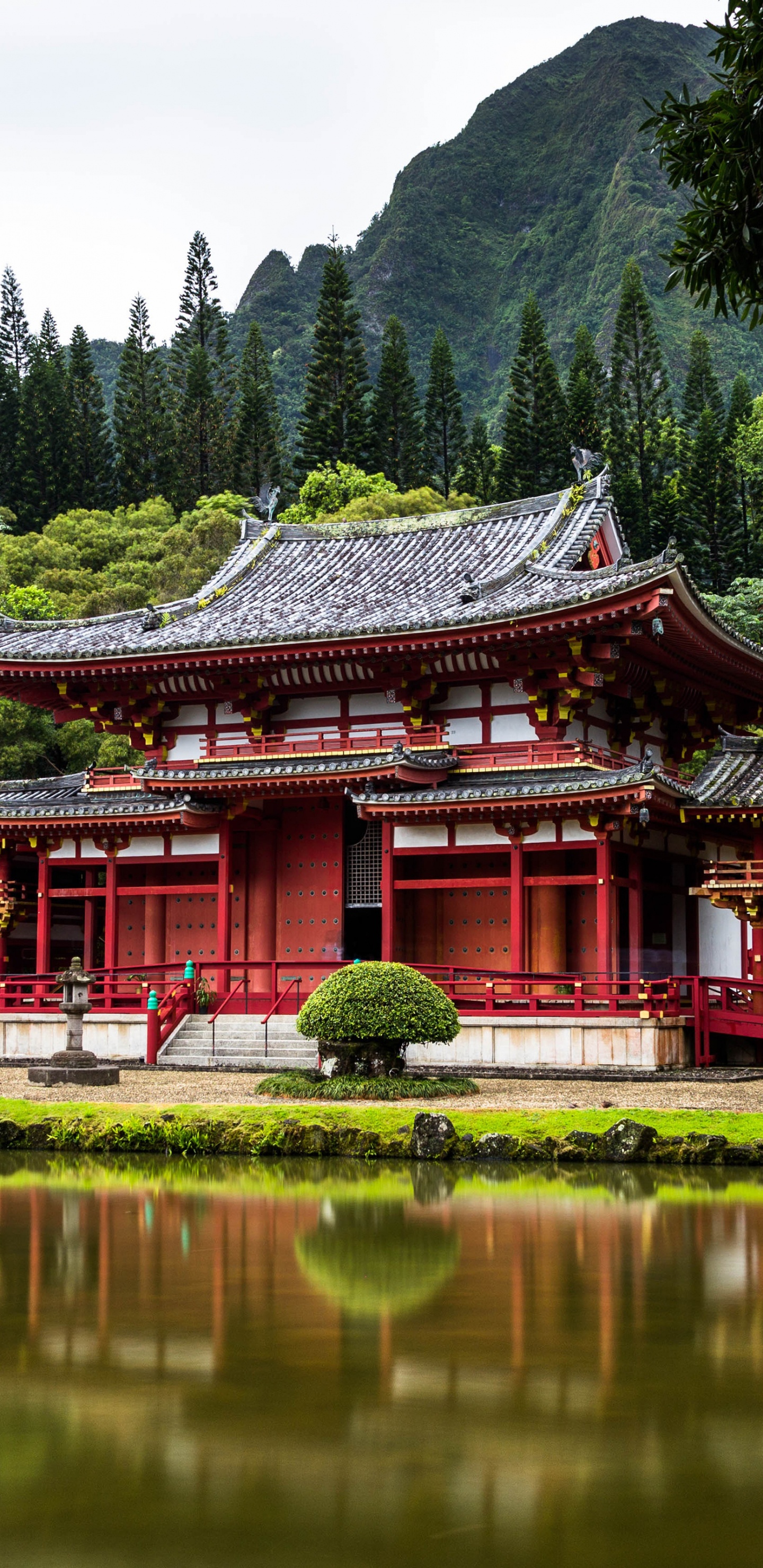 Tokyo, Egypt, Australia, Hawaii, Travel. Wallpaper in 1440x2960 Resolution