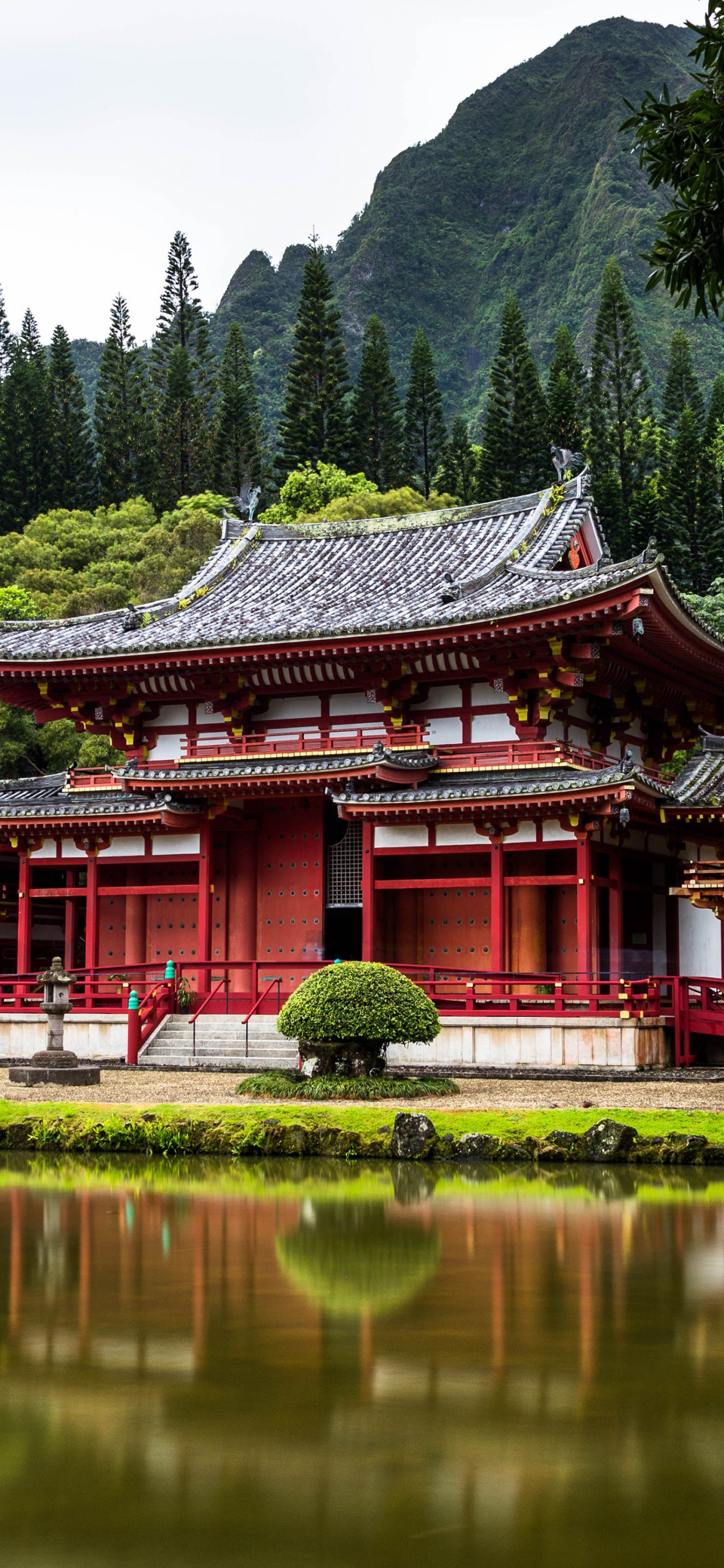 Tokyo, Egypte, Australie, Hawaii, Voyage. Wallpaper in 1242x2688 Resolution