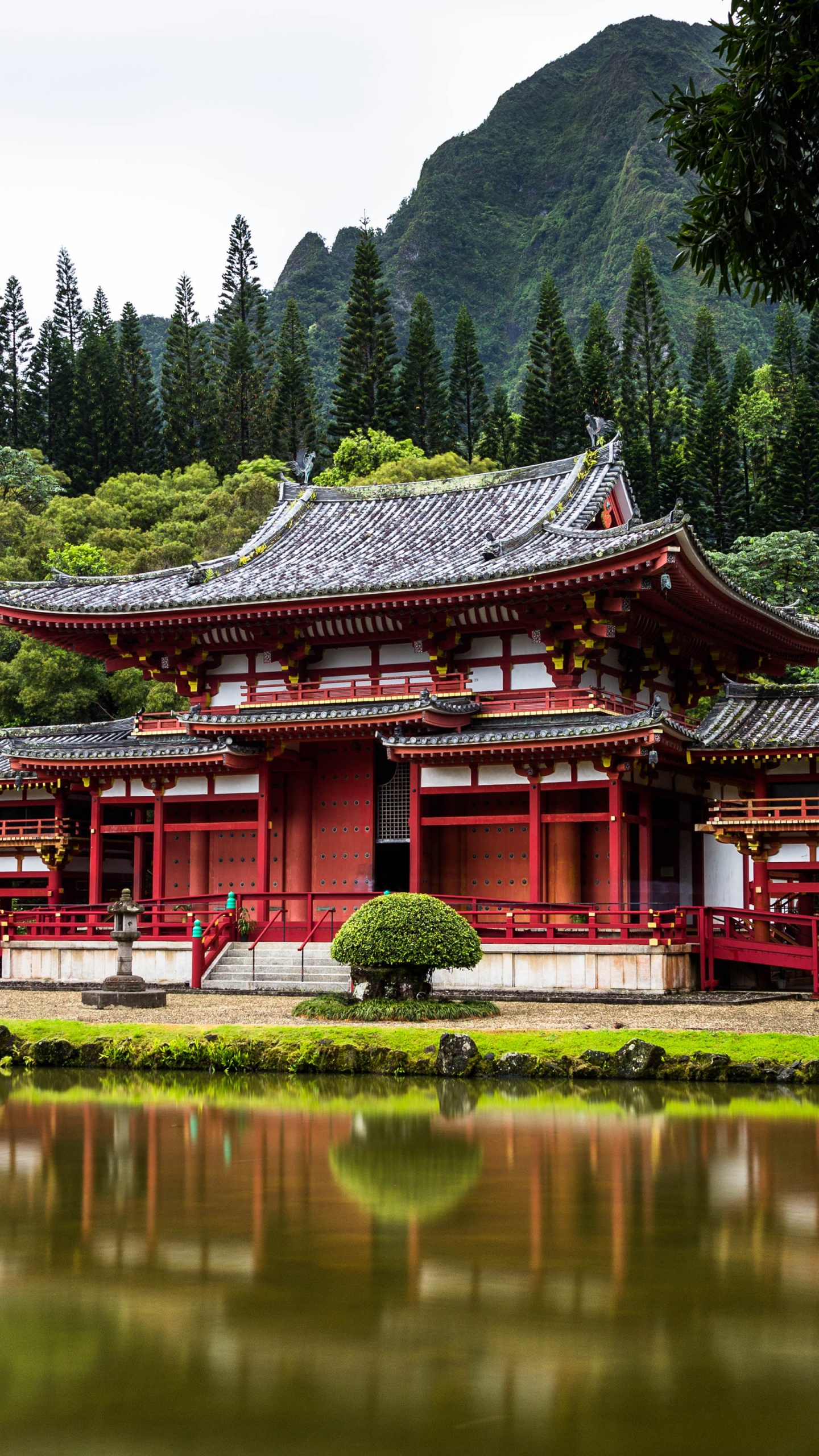 Tokyo, Egypte, Australie, Hawaii, Voyage. Wallpaper in 1440x2560 Resolution