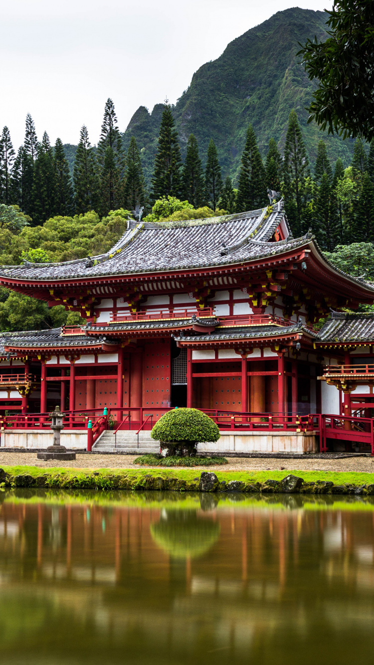 Tokyo, Egypte, Australie, Hawaii, Voyage. Wallpaper in 750x1334 Resolution