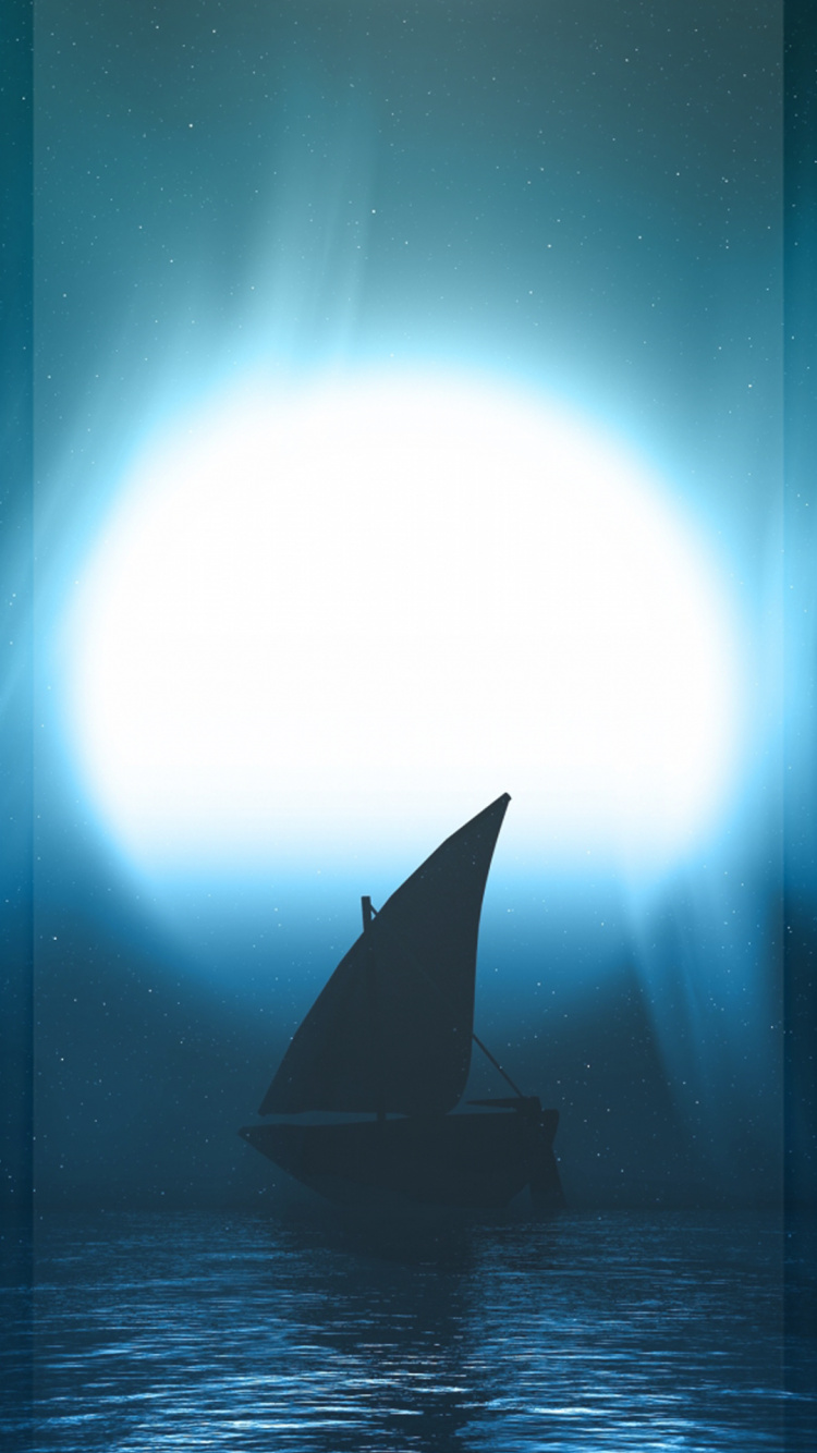 Eau, Épaulard, Bateau, Atmosphère, Motomarine. Wallpaper in 750x1334 Resolution