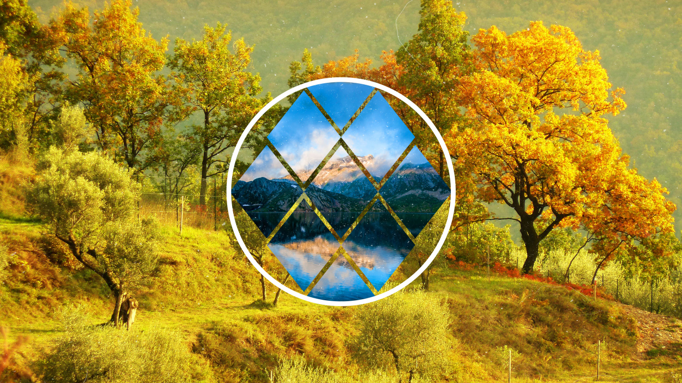 Tree, Plant, Daytime, World, Leaf. Wallpaper in 1366x768 Resolution