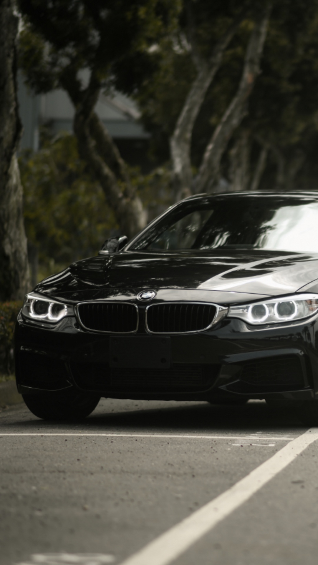 BMW4系, 宝马, Rim, 宝马5系, 宝马F3 壁纸 1080x1920 允许