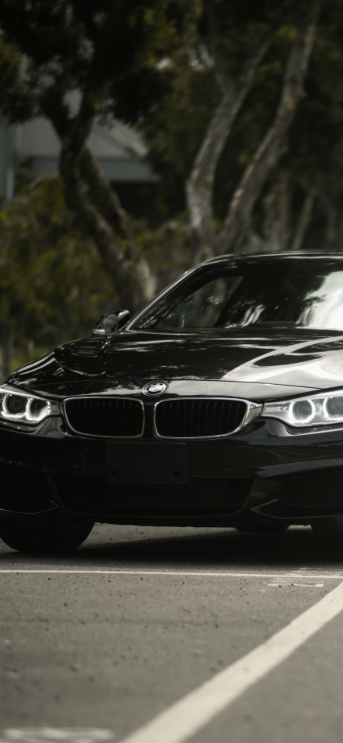 BMW4系, 宝马, Rim, 宝马5系, 宝马F3 壁纸 1125x2436 允许