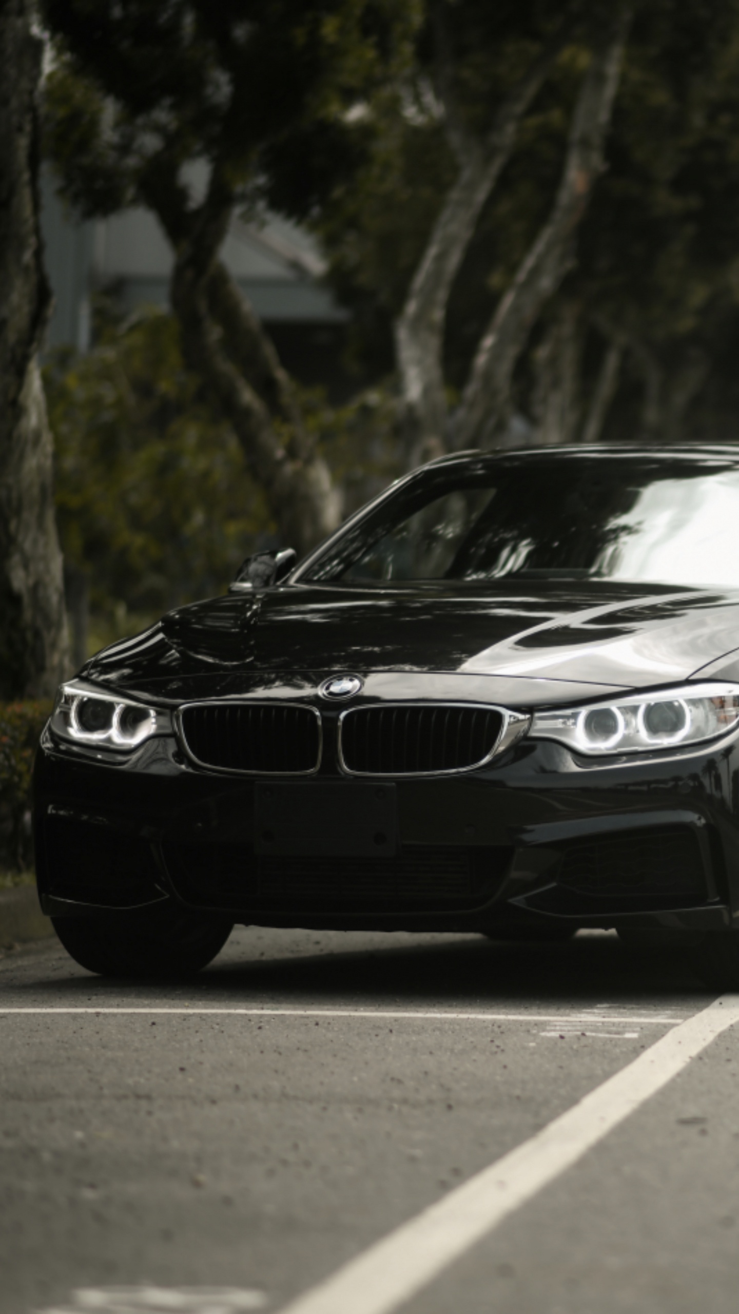 BMW4系, 宝马, Rim, 宝马5系, 宝马F3 壁纸 1440x2560 允许