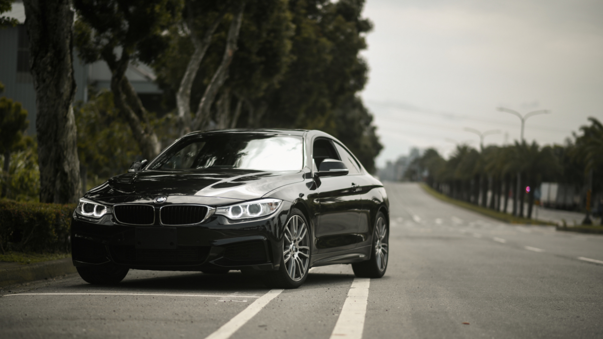 BMW4系, 宝马, Rim, 宝马5系, 宝马F3 壁纸 1920x1080 允许