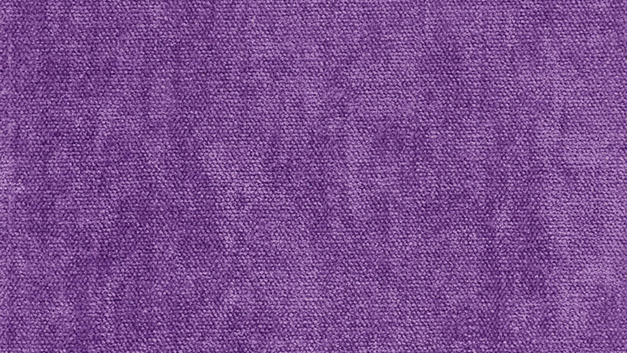 Lila Textil in Nahaufnahme. Wallpaper in 2560x1440 Resolution