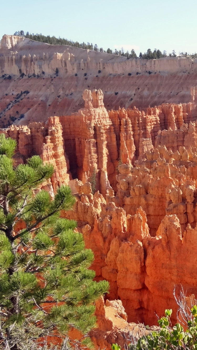 Brown Rock Formation During Daytime. Wallpaper in 750x1334 Resolution