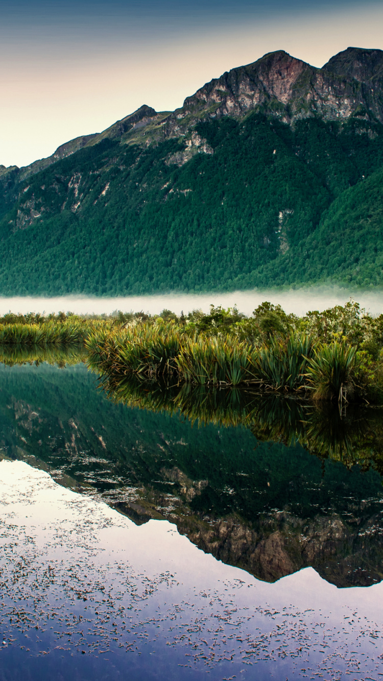 水资源, 生态区, 自然景观, Azure, 自然环境 壁纸 750x1334 允许
