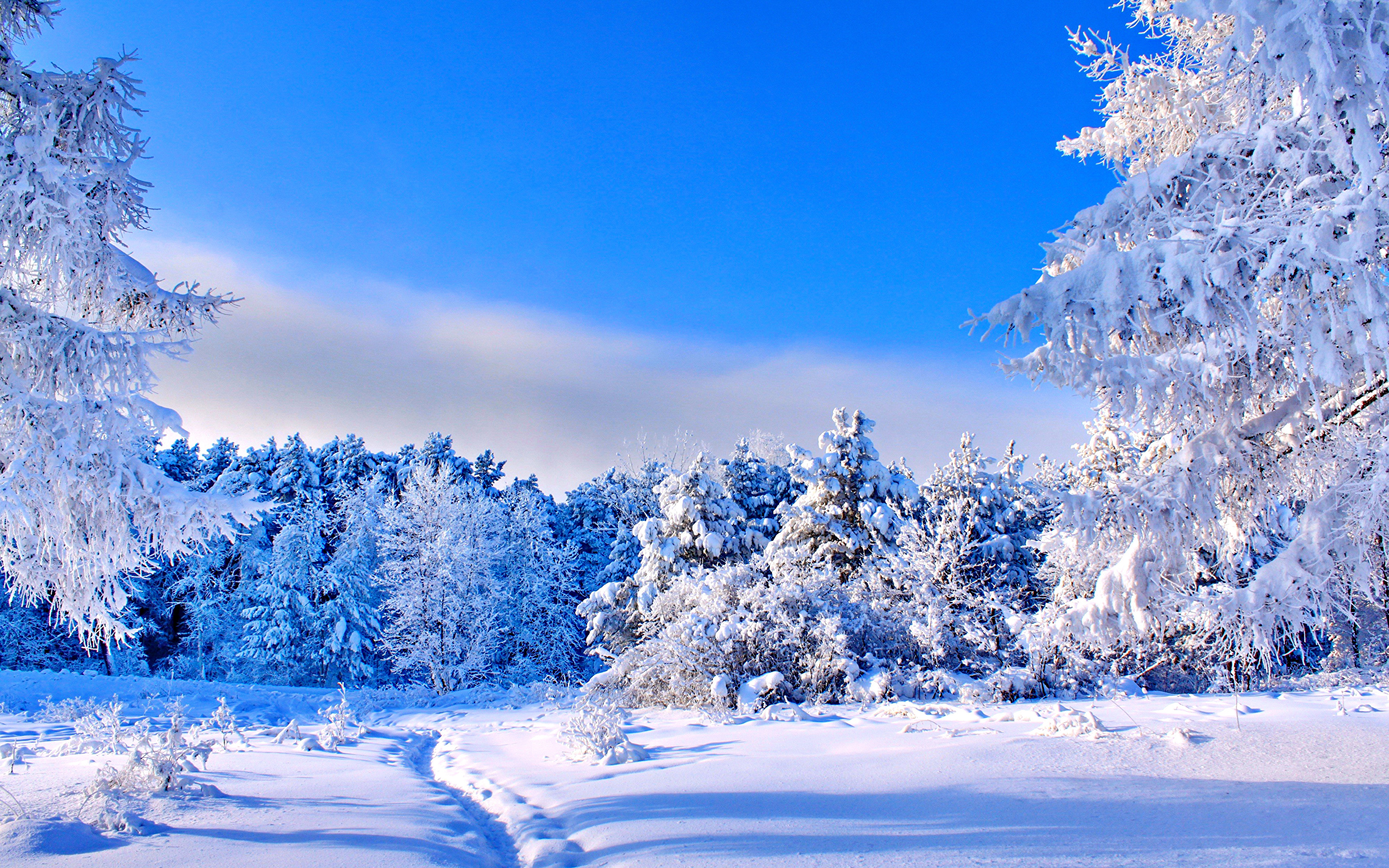 winter solstice wallpaper background