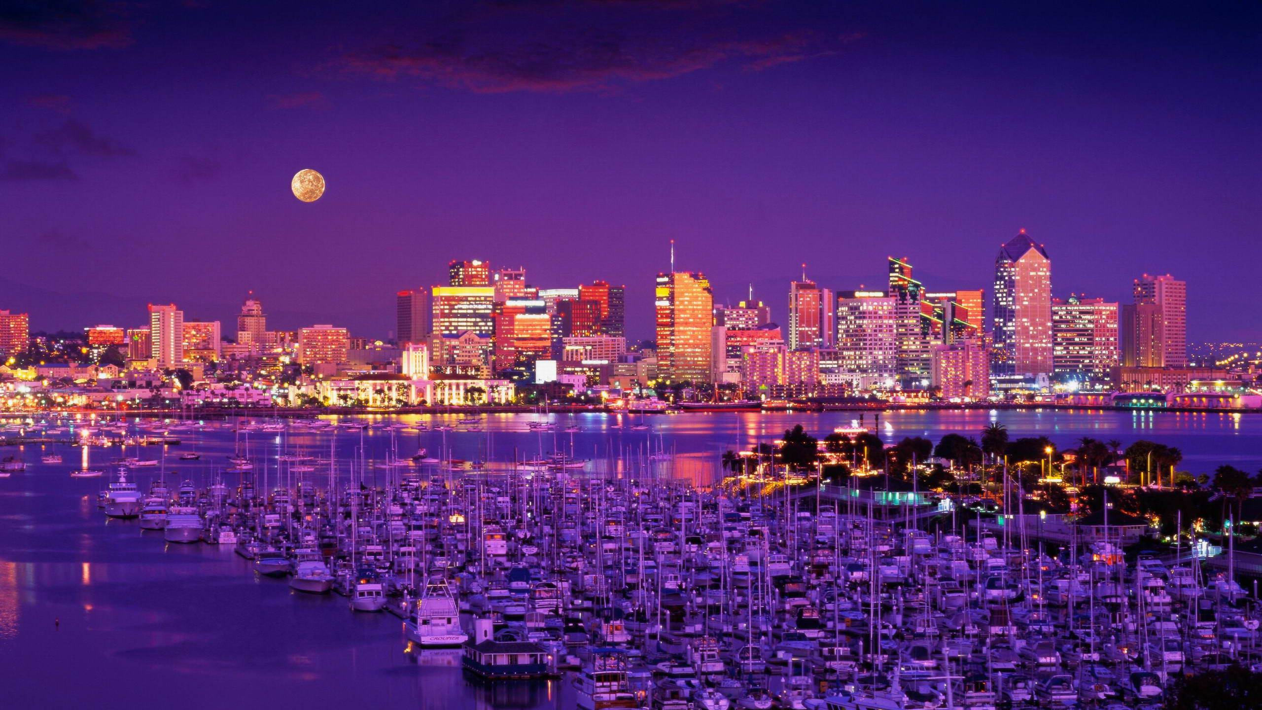 城市, 城市景观, 天际线, 紫色的, 大都会 壁纸 2560x1440 允许