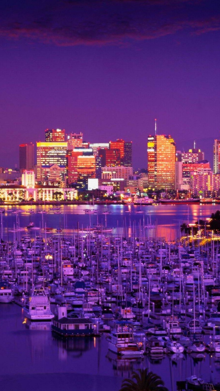 城市, 城市景观, 天际线, 紫色的, 大都会 壁纸 720x1280 允许